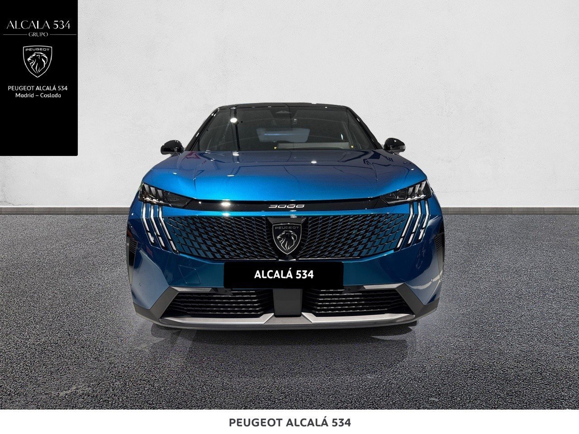 Imagen de PEUGEOT 3008