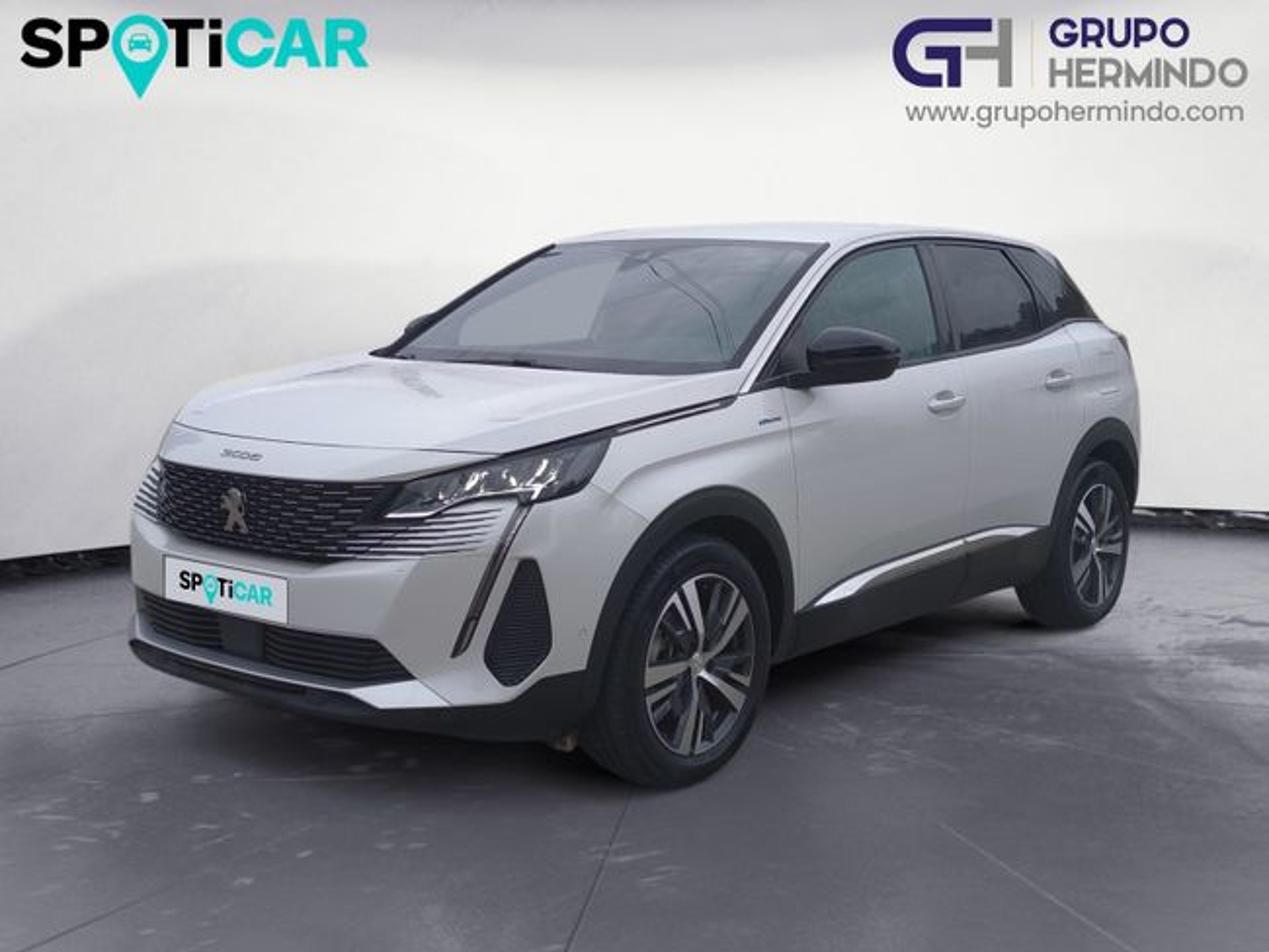 Imagen de PEUGEOT 3008