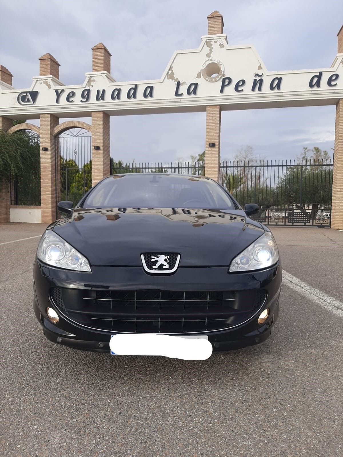 Foto del PEUGEOT 407 Coupé 2.0HDI
