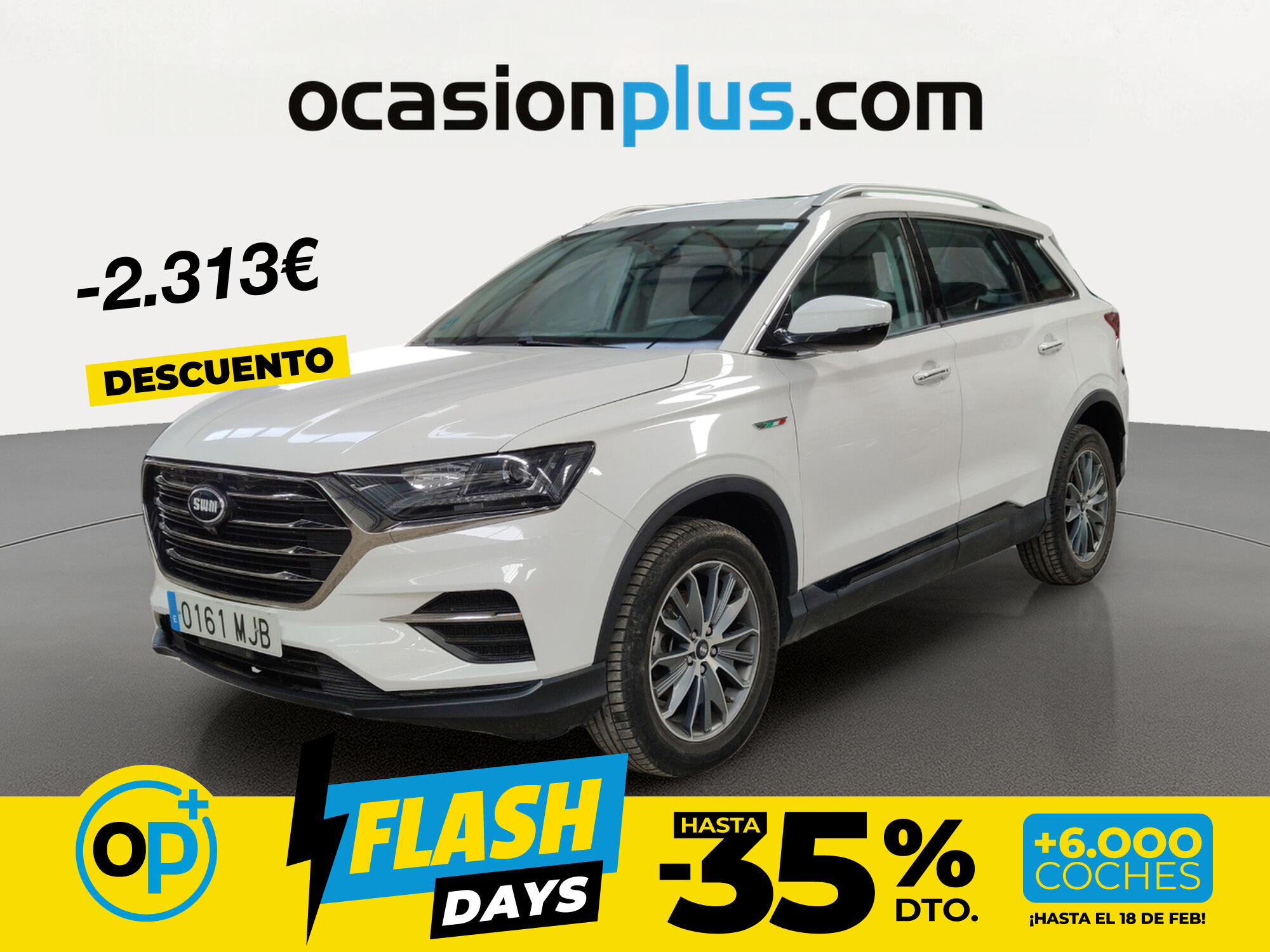 Foto del SWM G01 1.5T Luxury