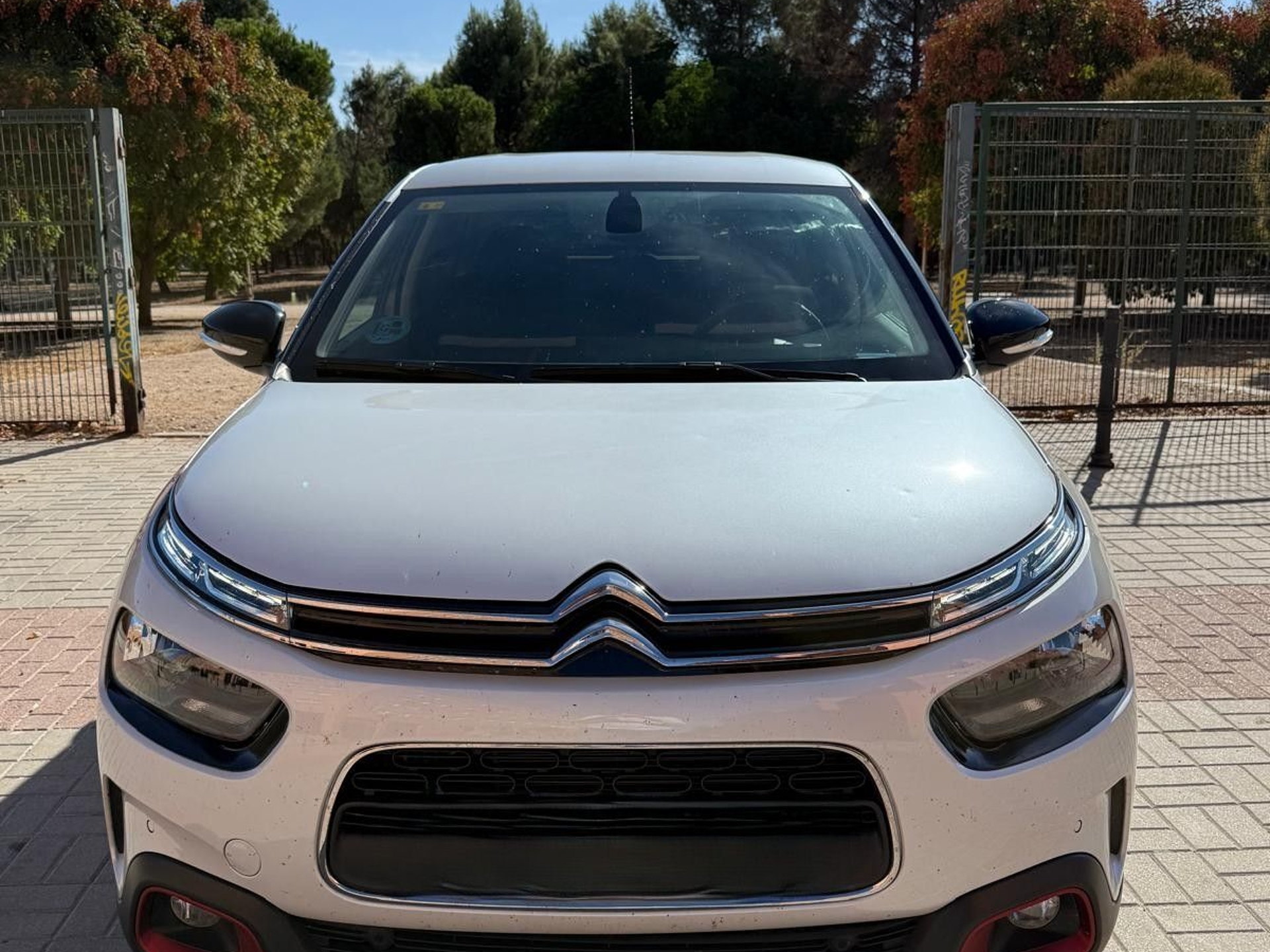 Imagen de CITROEN C4 Cactus