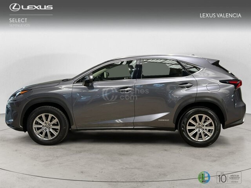 Foto del LEXUS NX 300h Business 2WD