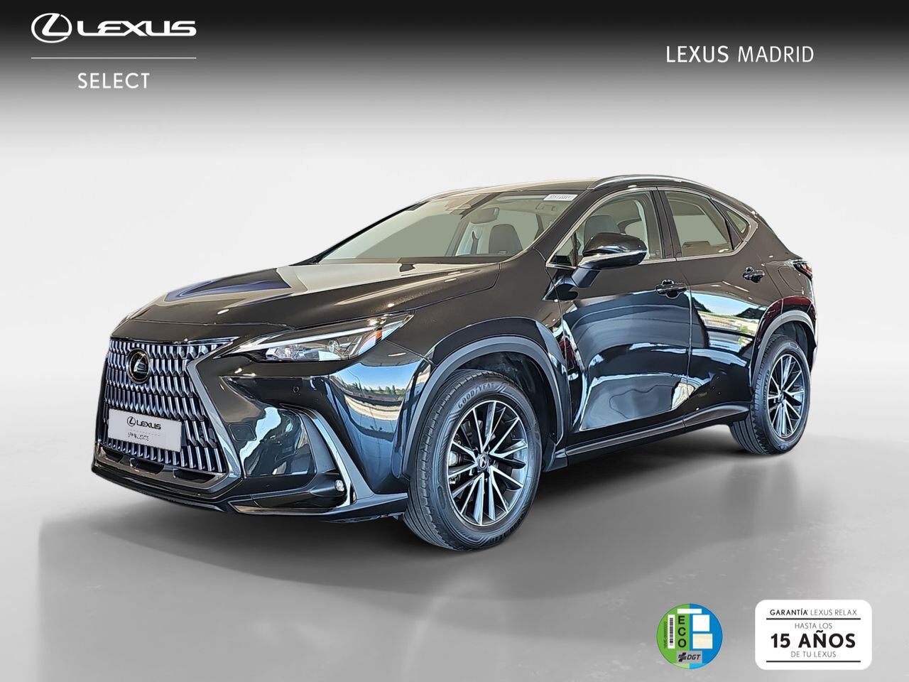 LEXUS NX (350h Business City 2WD) en Madrid