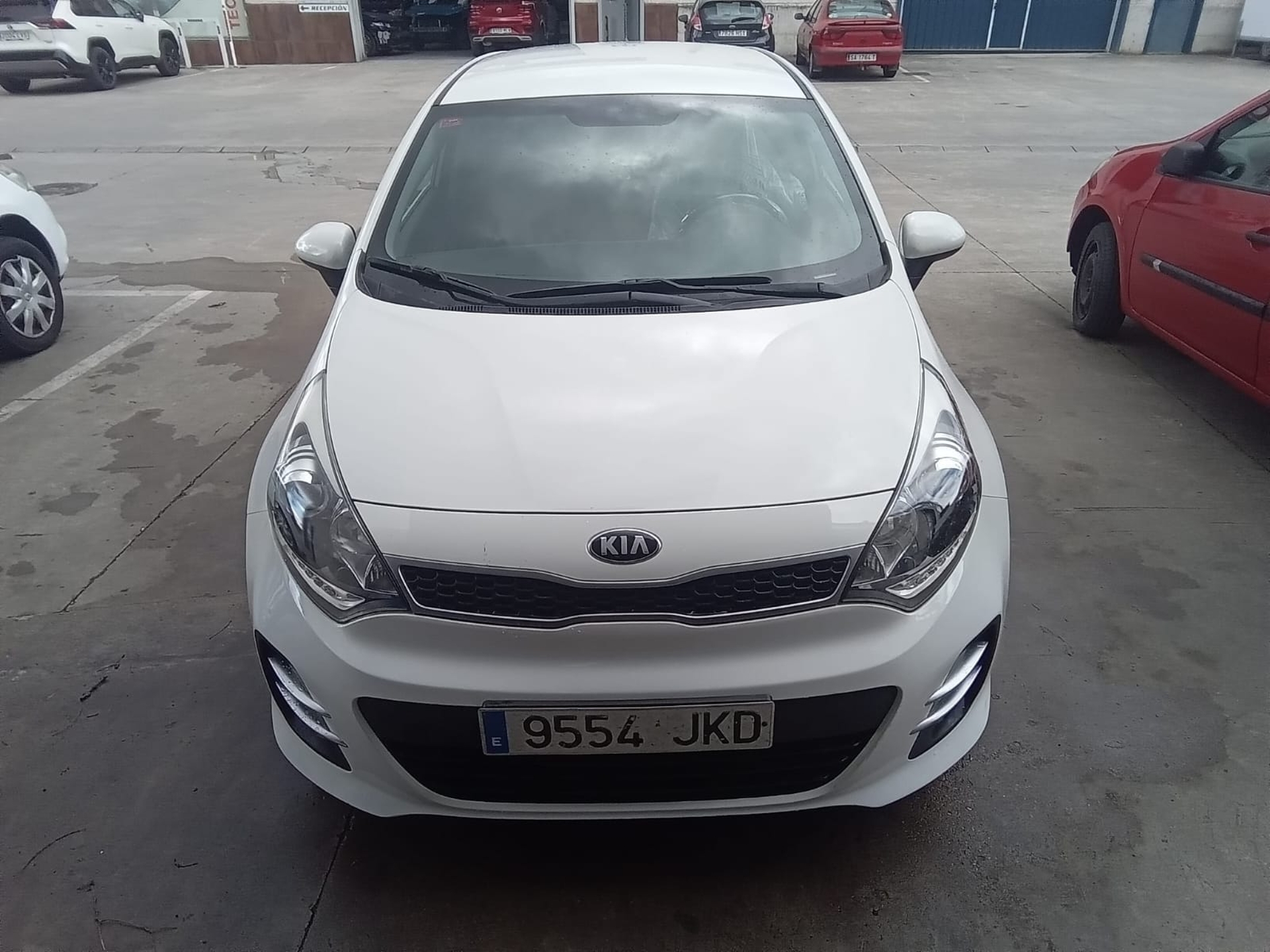 Imagen de KIA Rio