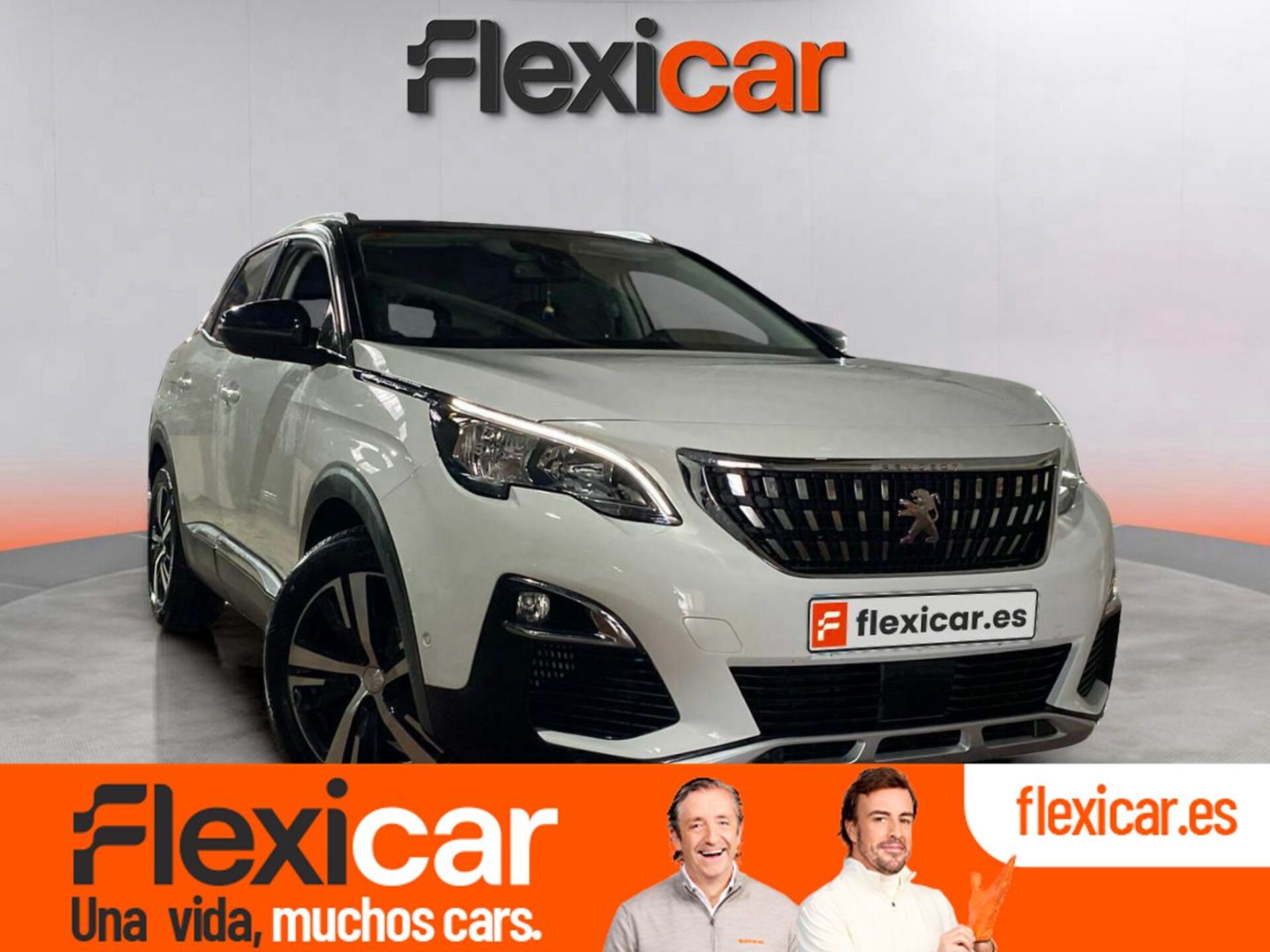 Imagen de PEUGEOT 3008