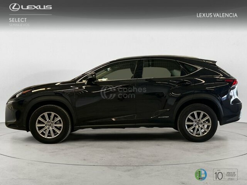 Foto del LEXUS NX 300h Business 2WD
