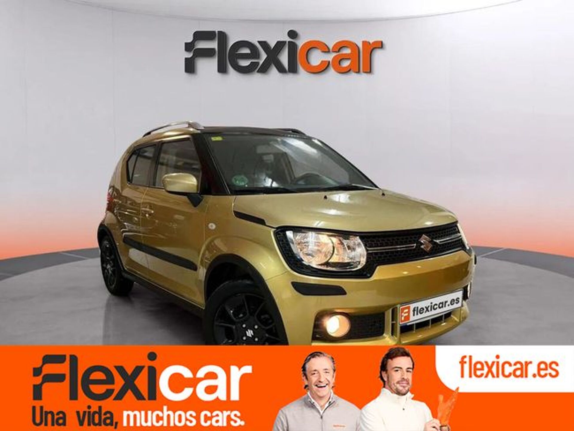 Imagen 1 de SUZUKI Ignis