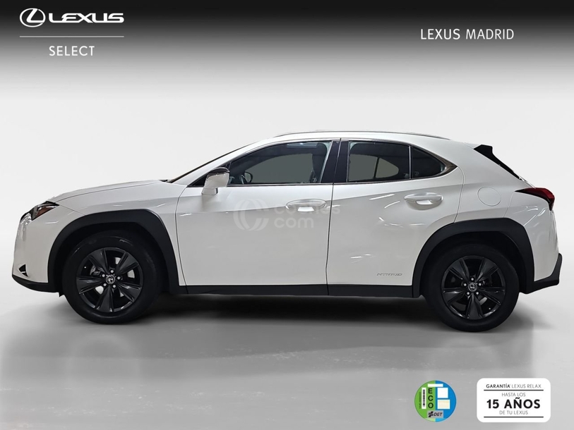 Foto del LEXUS UX 250h Business 4WD
