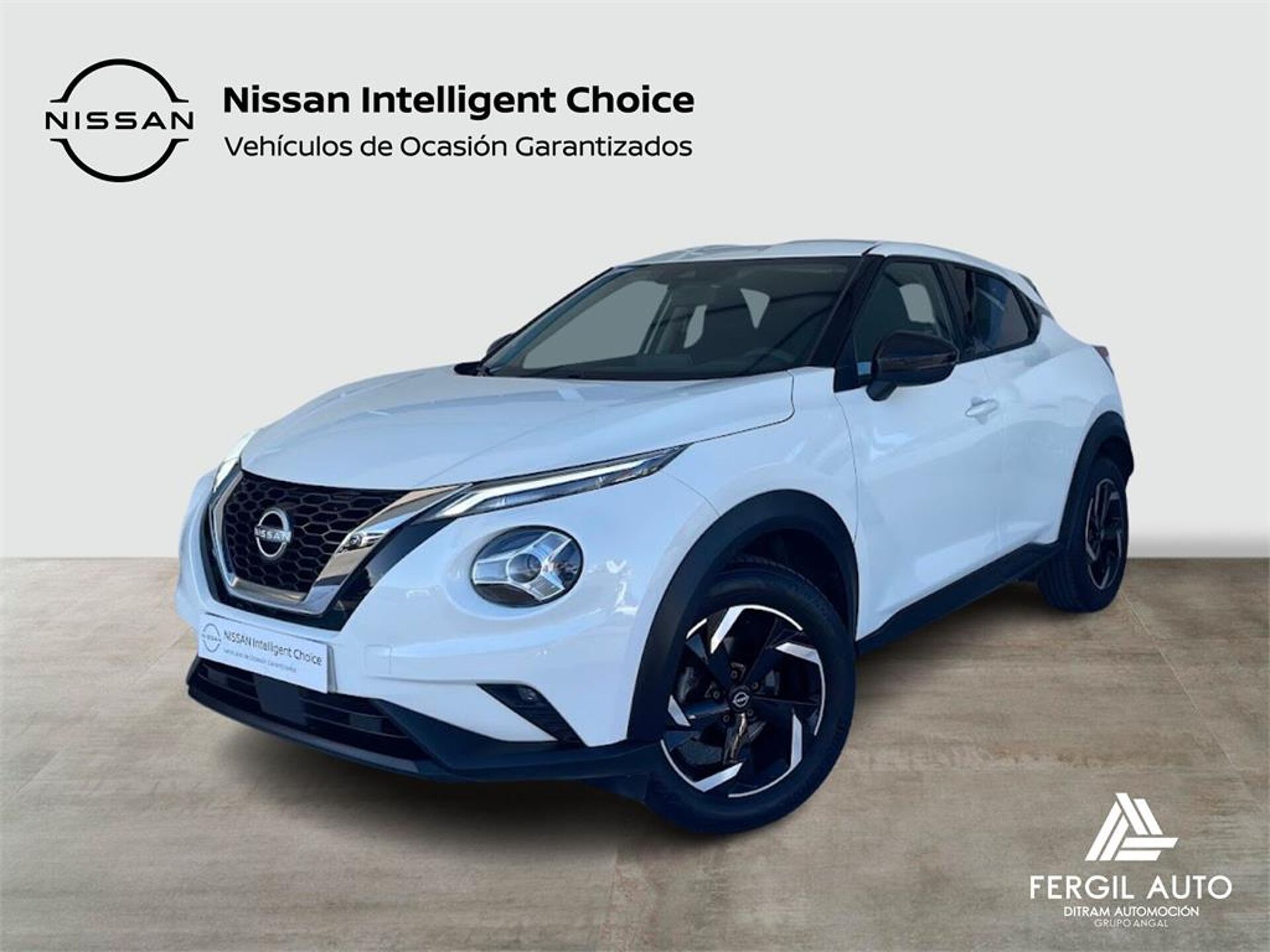 Imagen de NISSAN Juke