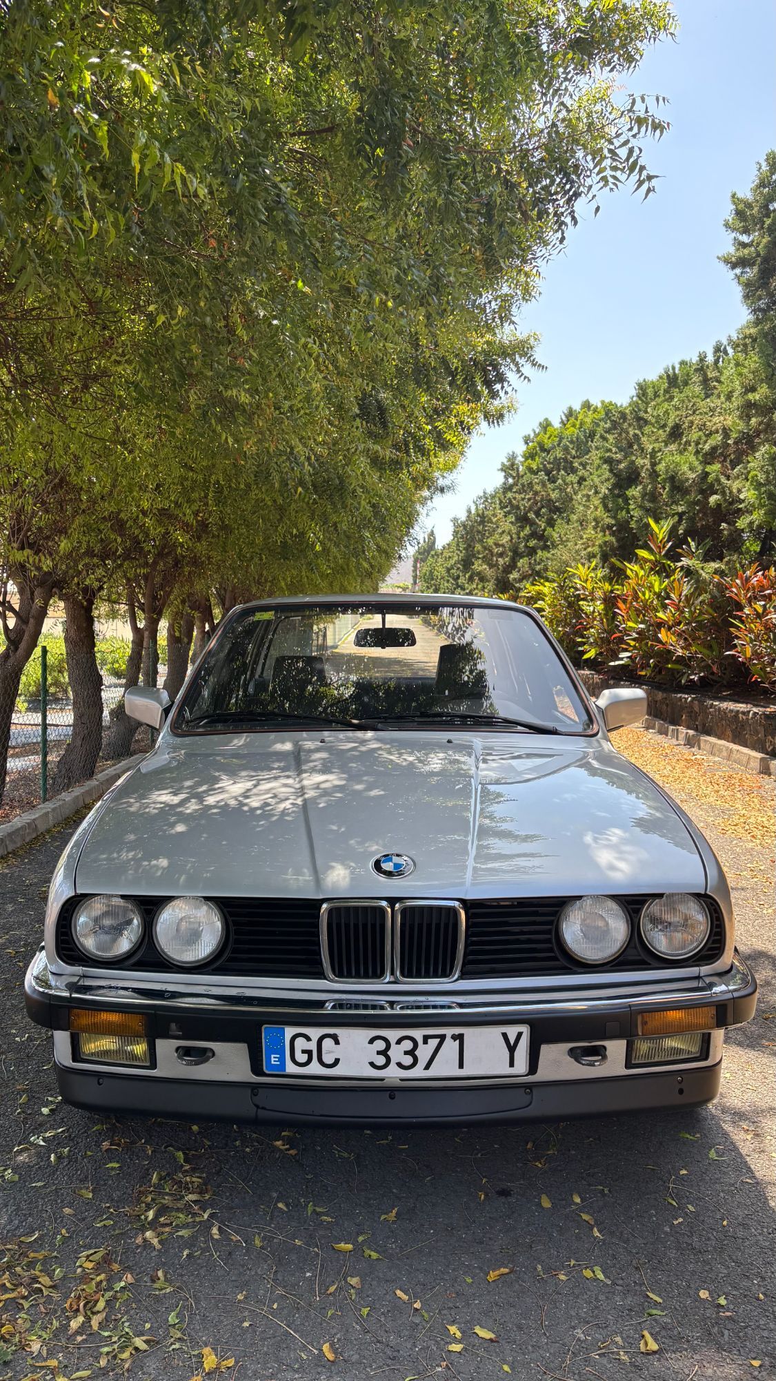 Foto del BMW Serie 3 316
