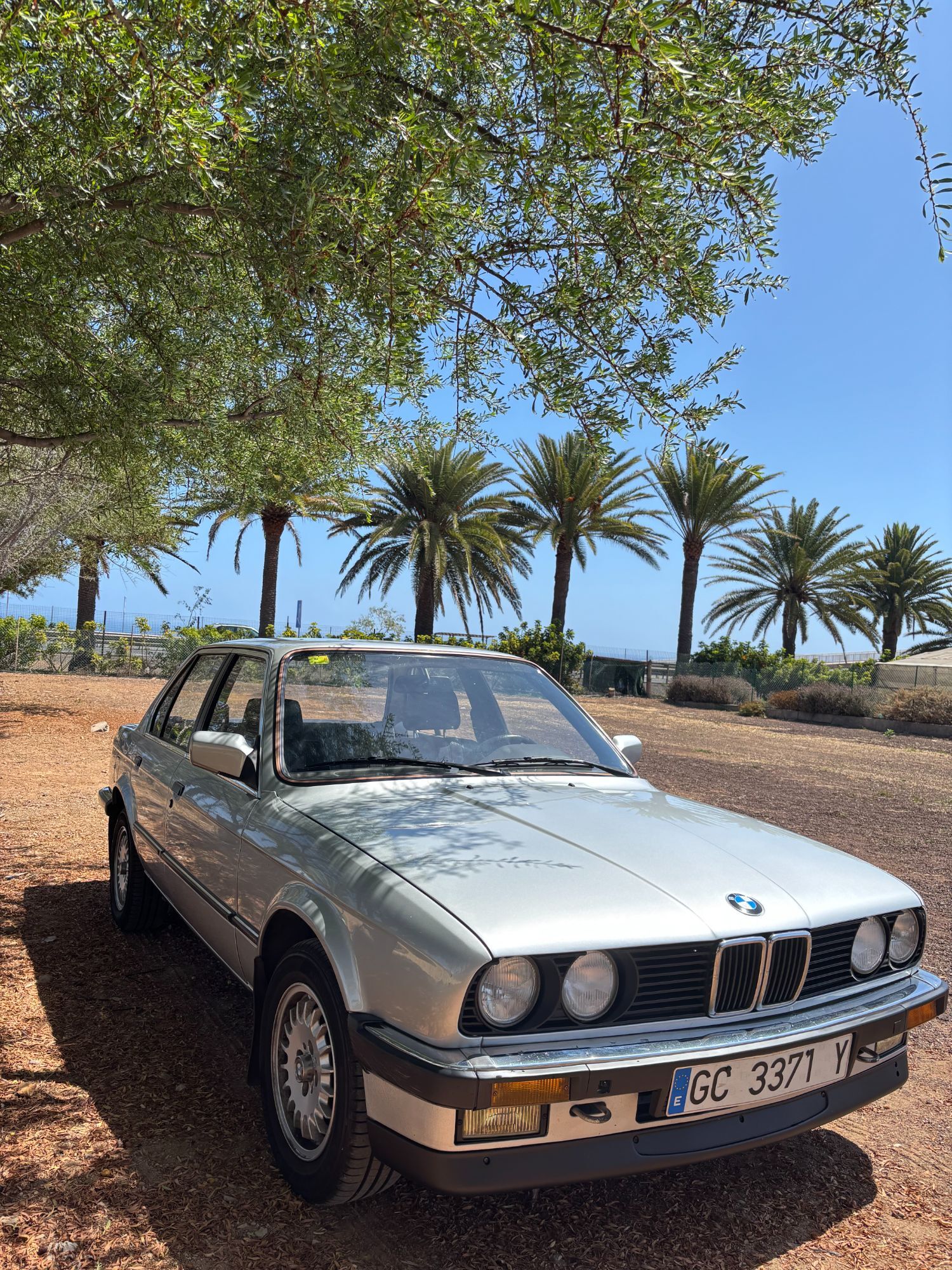 Foto del BMW Serie 3 316