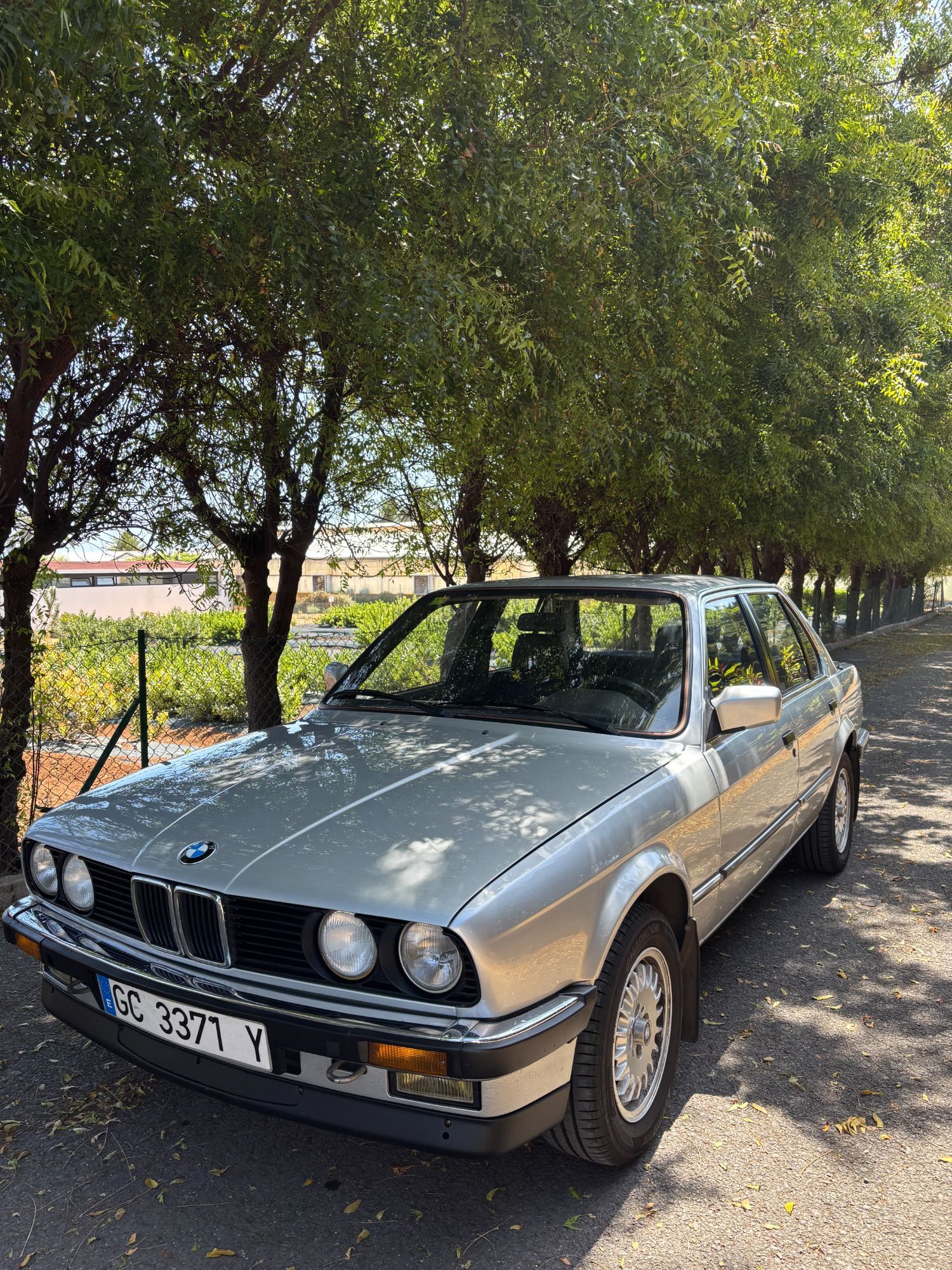 Foto del BMW Serie 3 316