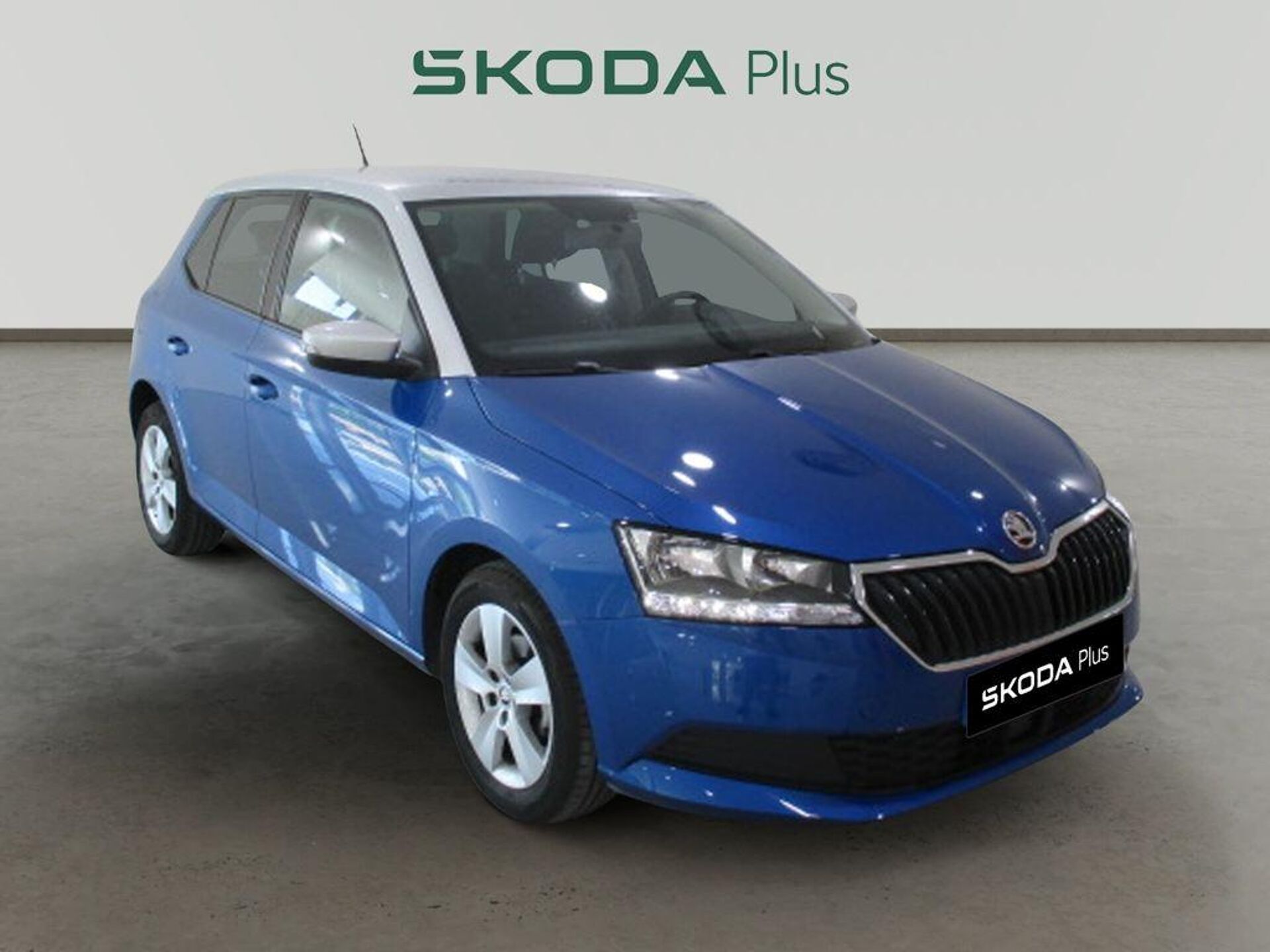 Imagen 1 de SKODA Fabia