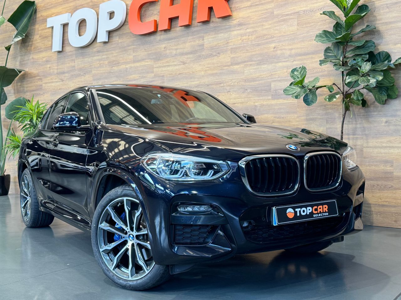 BMW X4 (3.0D Xdrive   M Sport) en Vizcaya