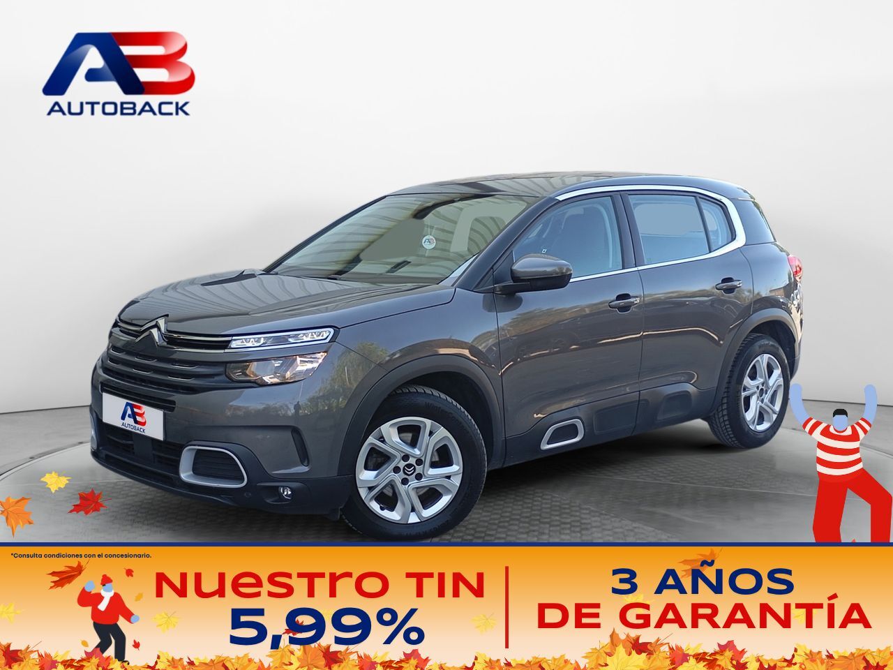 CITROEN C5 Aircross (BlueHdi 96kW (130CV) S&S EAT8 Feel) en Madrid