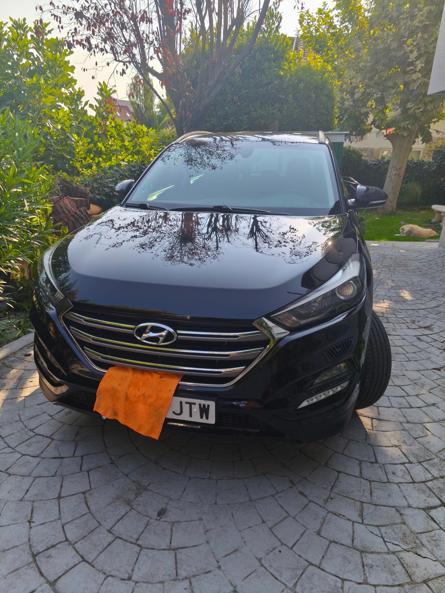 Foto del HYUNDAI Tucson 1.6 GDI BD Tecno 4x2 131