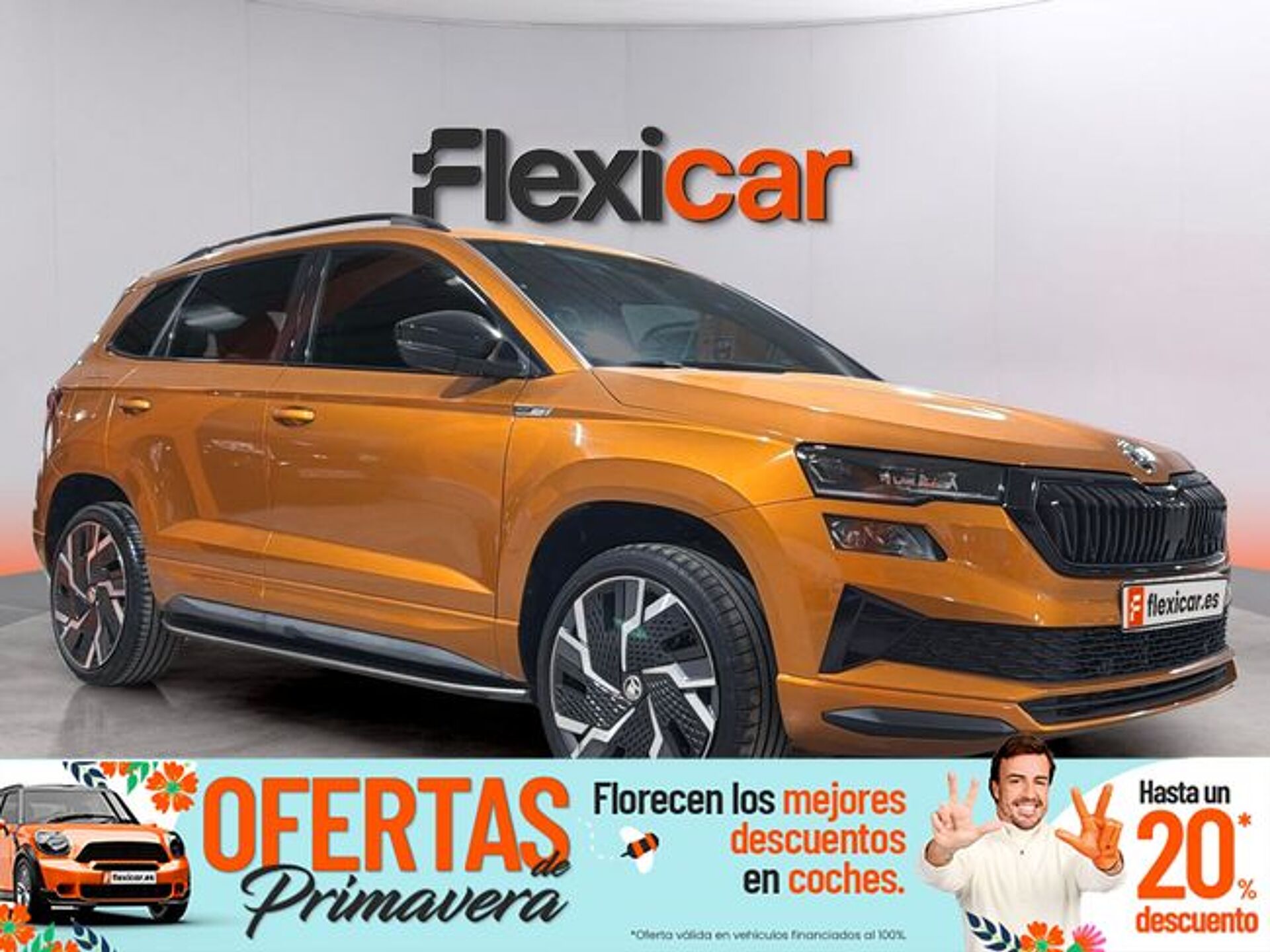 Imagen 1 de SKODA Karoq