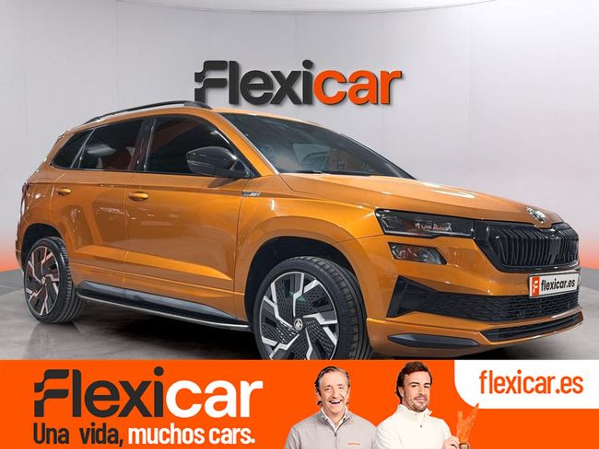 Imagen 1 de SKODA Karoq