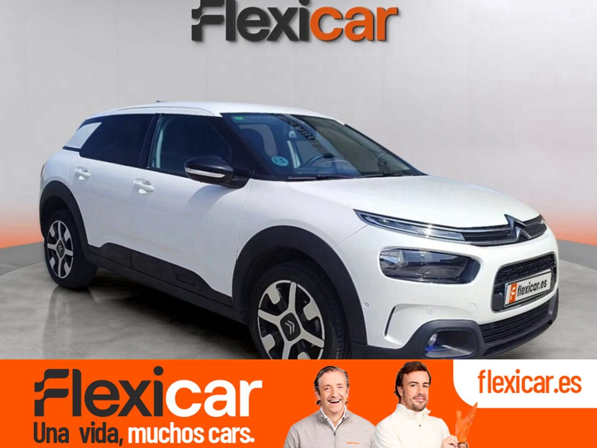 Imagen de CITROEN C4 Cactus