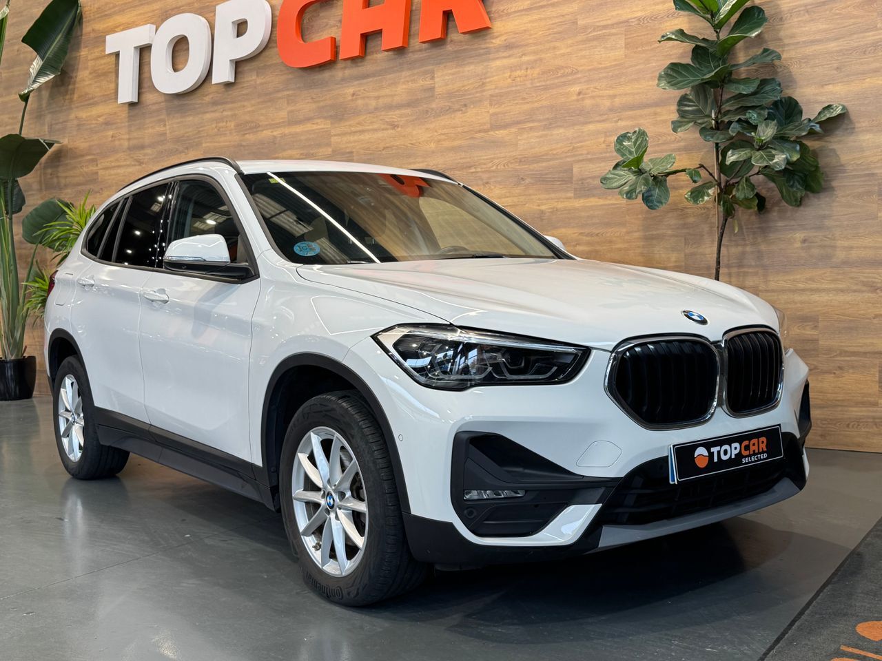 BMW X1 (1.8 Sdrive Auto) en Vizcaya