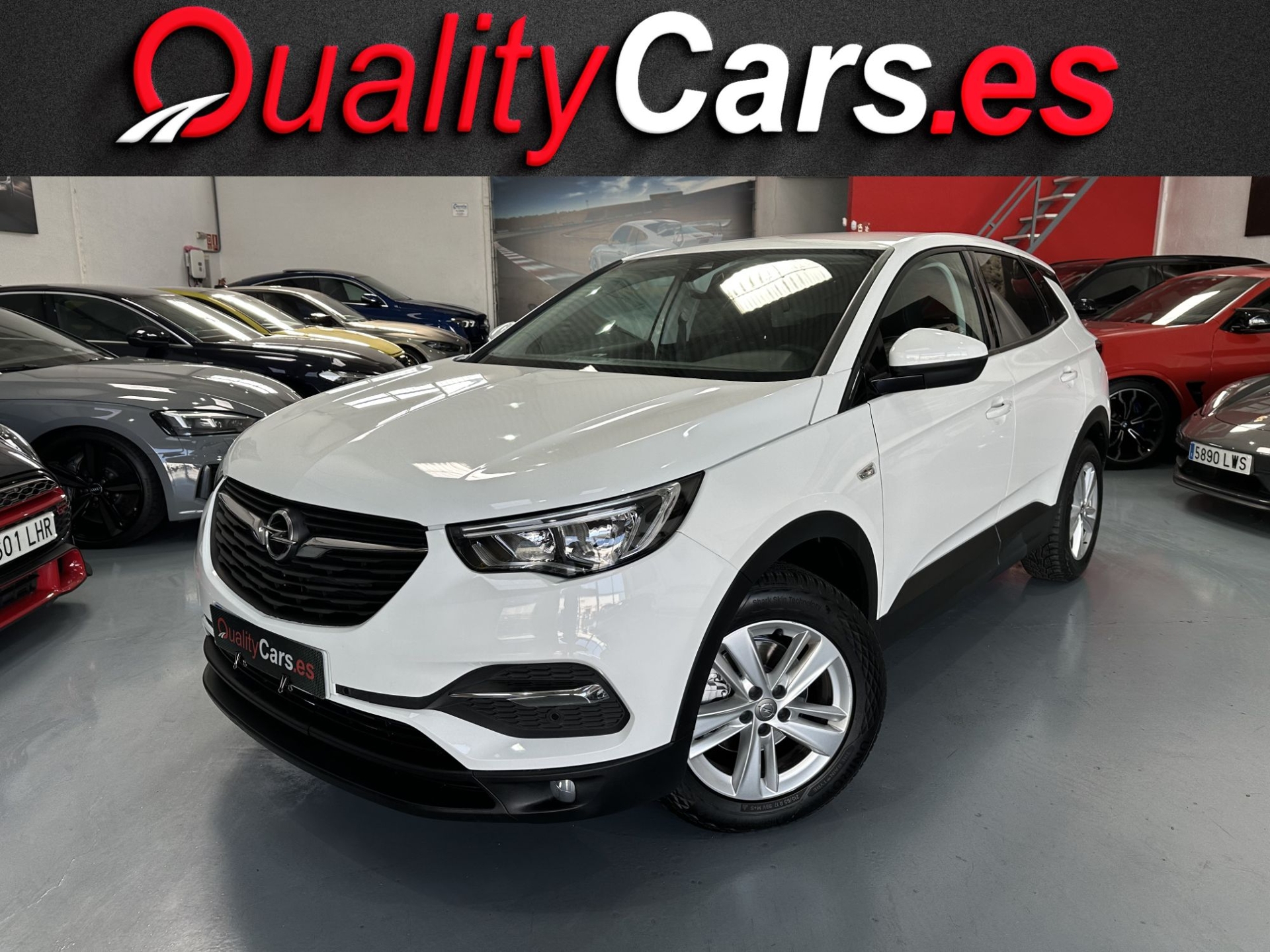 Imagen de OPEL Grandland X