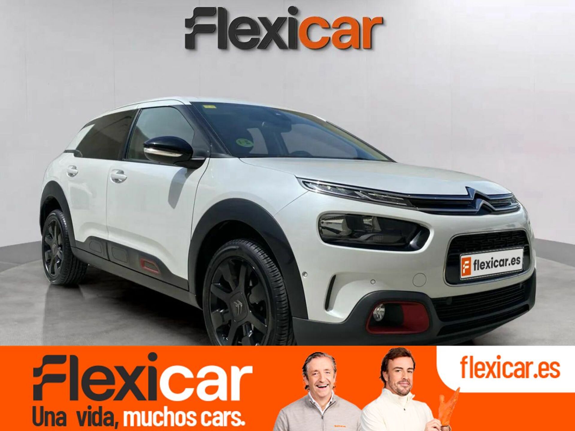 Imagen de CITROEN C4 Cactus