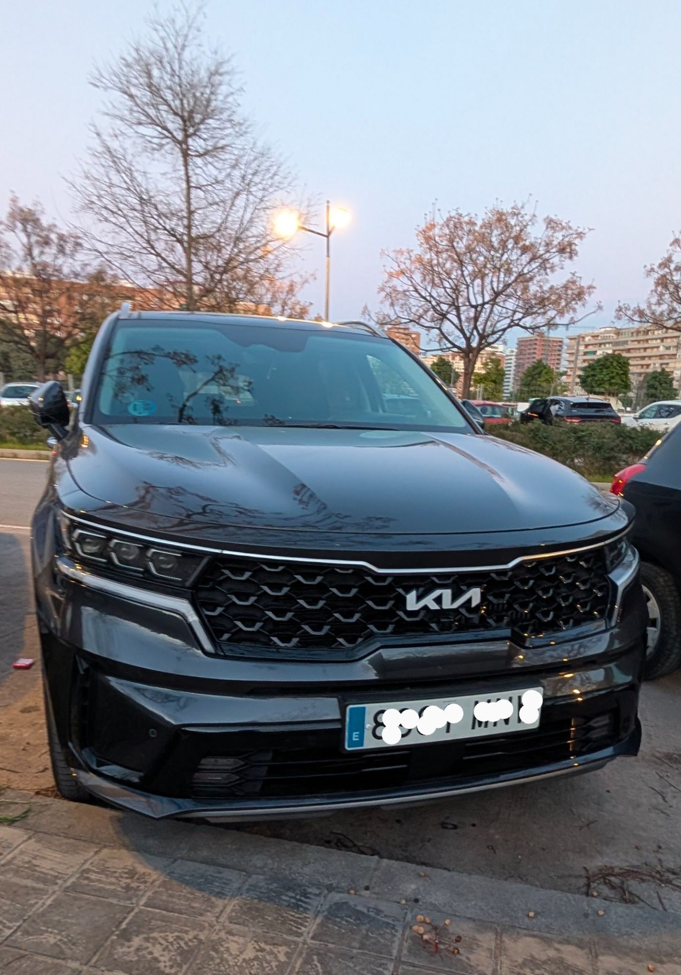 Foto del KIA Sorento 1.6 T-GDi HEV Emotion Pack Premium 4x2