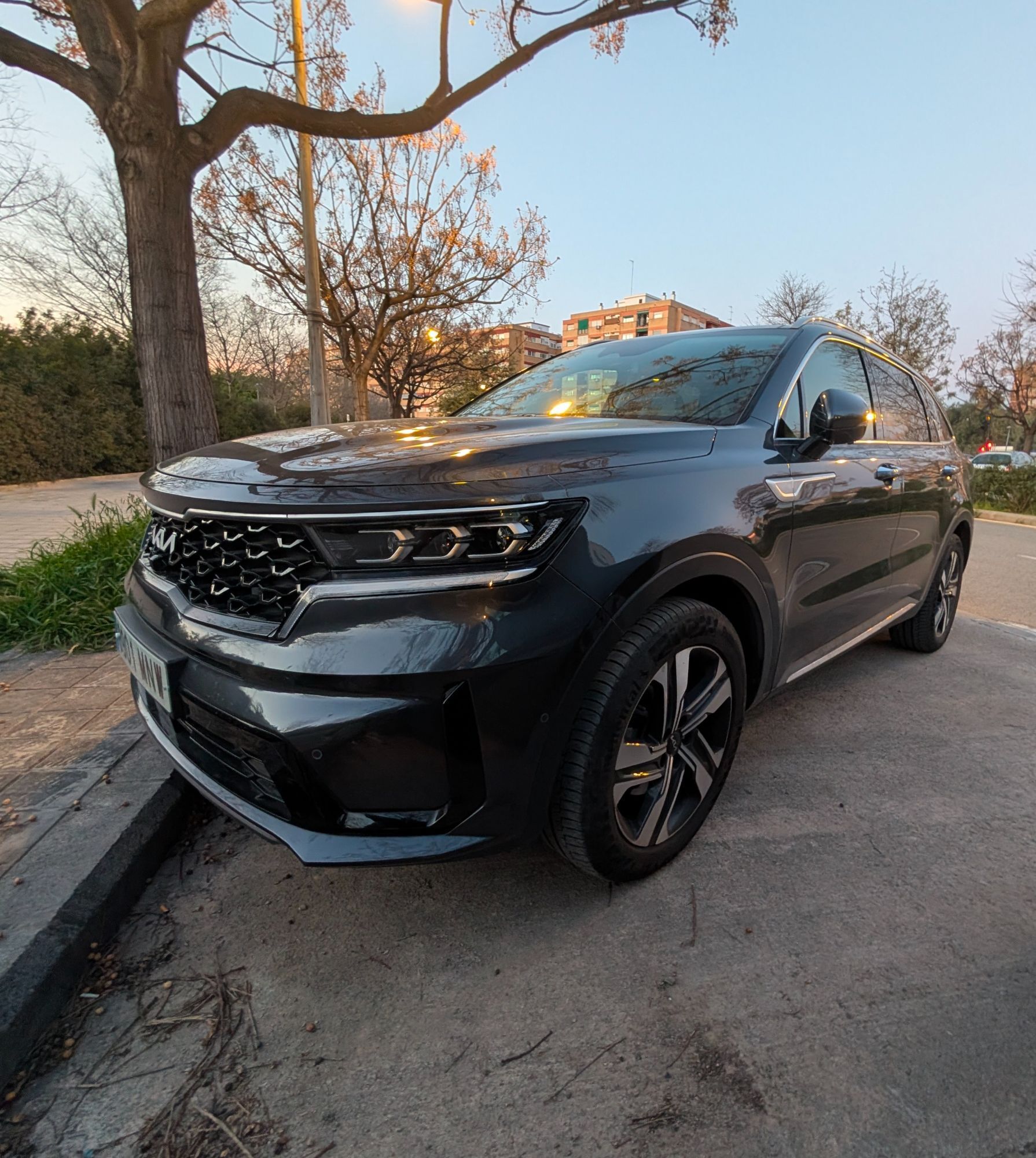 Foto del KIA Sorento 1.6 T-GDi HEV Emotion Pack Premium 4x2