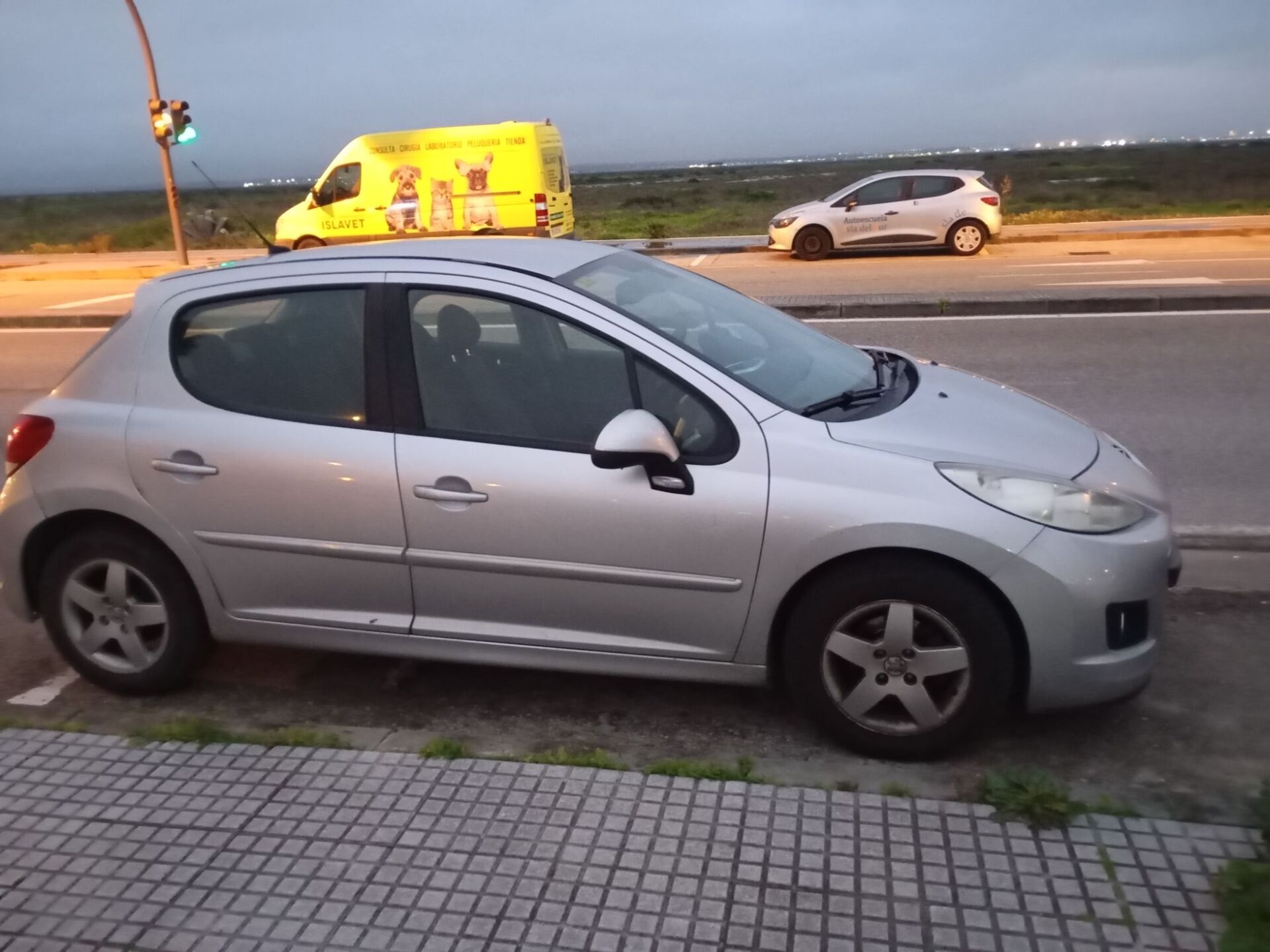 Imagen 1 de PEUGEOT 207