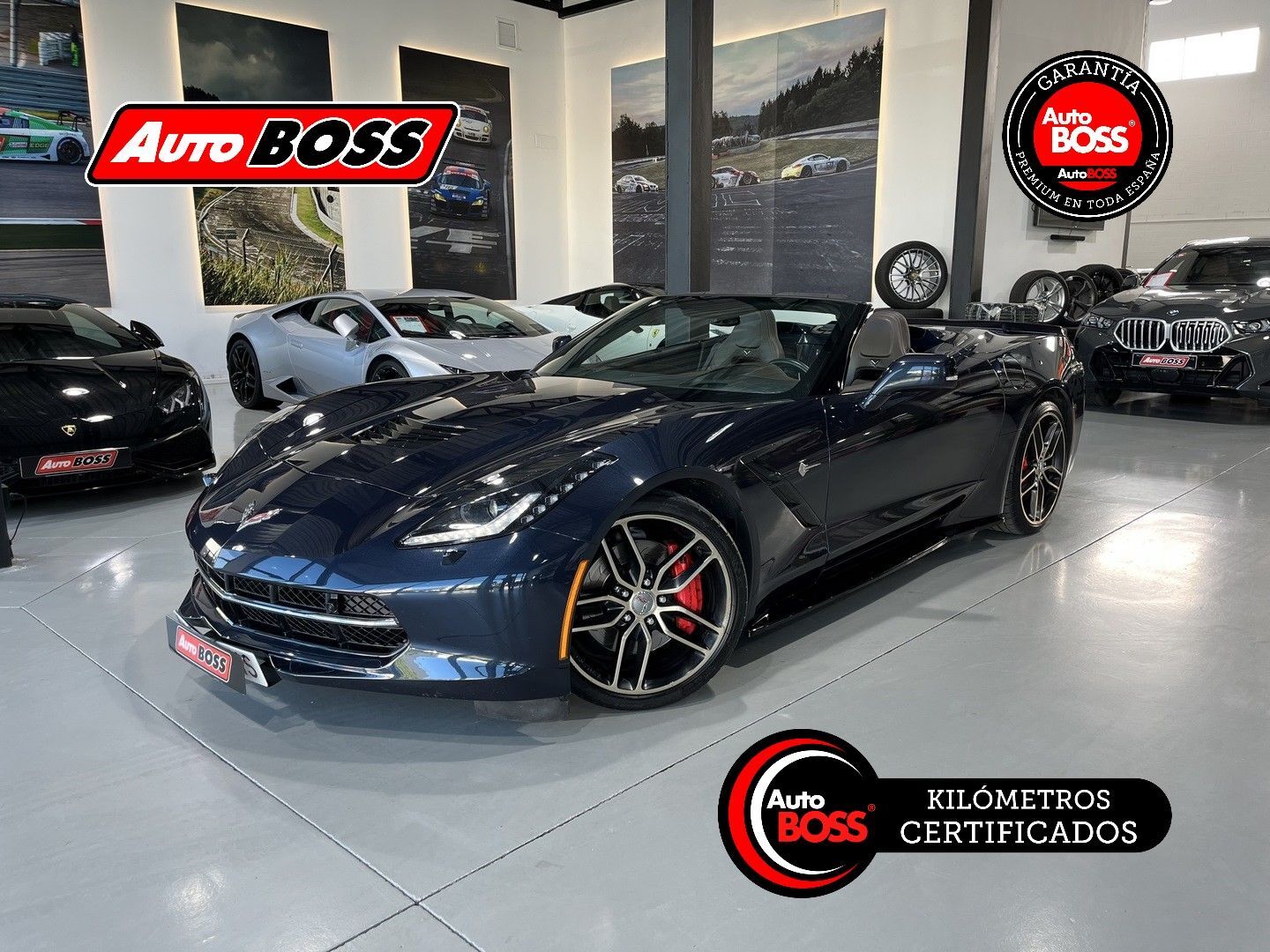 CORVETTE C6 (CONVERTIBLE 6.2 V8 AUT.) en Sevilla