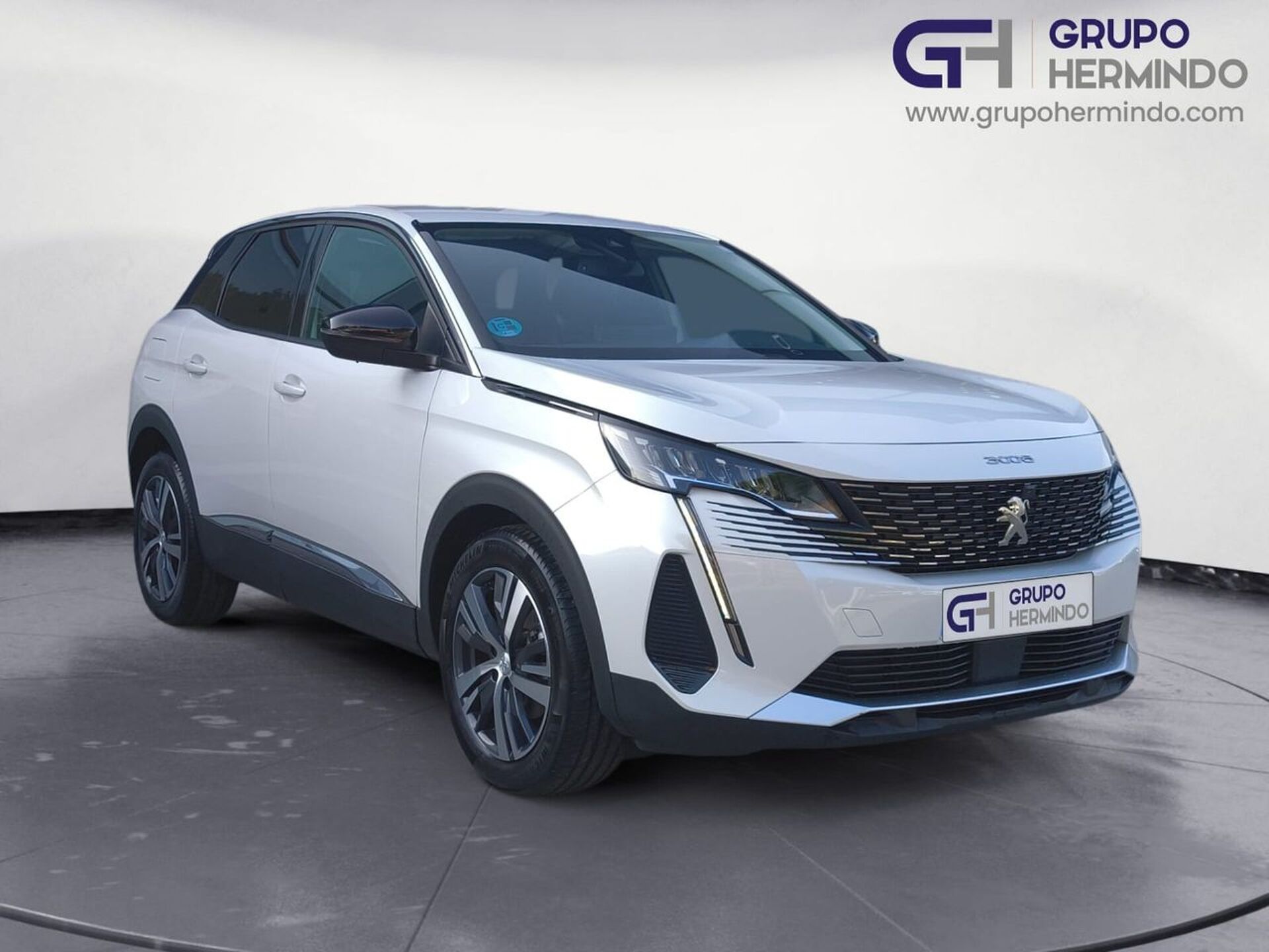 Imagen de PEUGEOT 3008