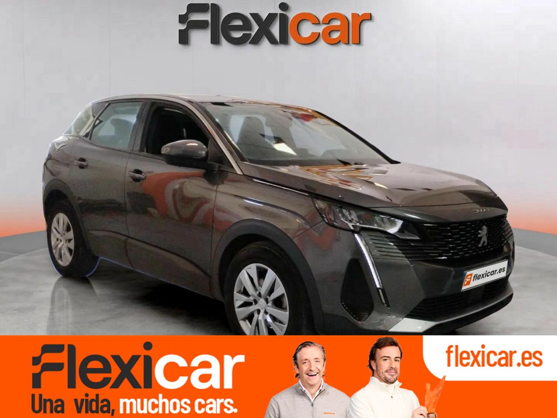 Imagen de PEUGEOT 3008
