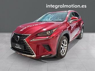 Imagen de LEXUS NX 300h Executive Navigation 4WD