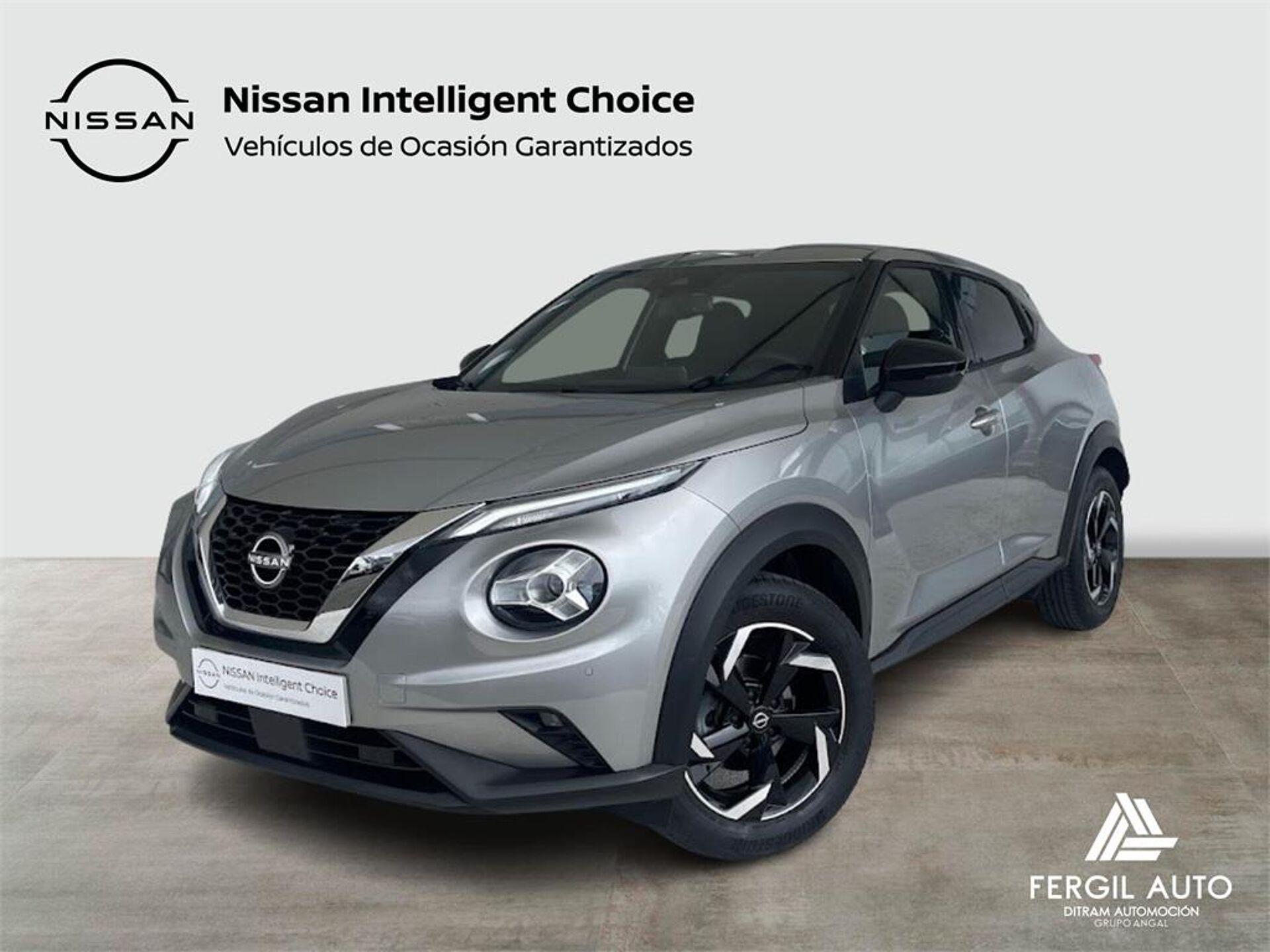 Imagen de NISSAN Juke
