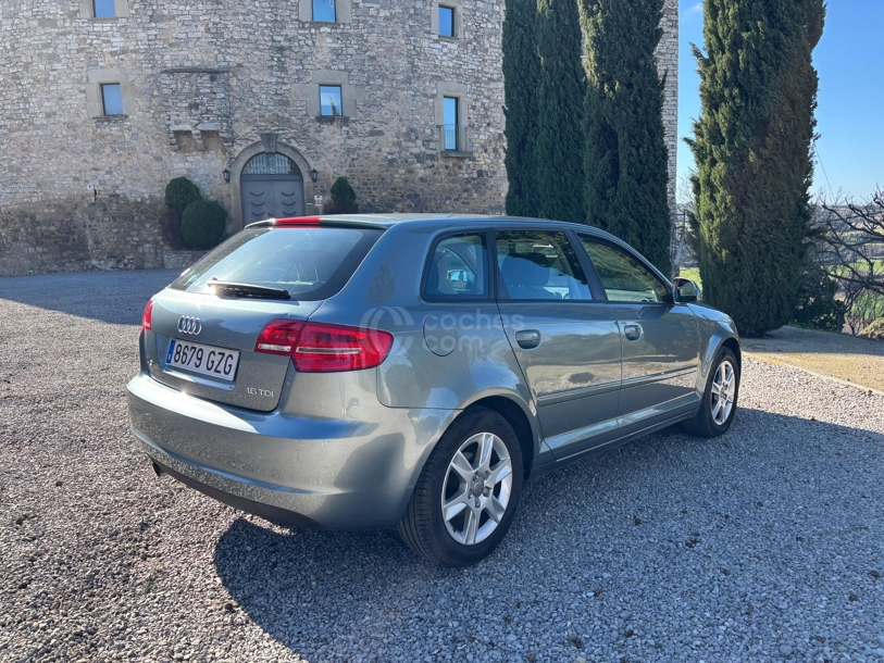 Foto del AUDI A3 1.6TDI Ambition