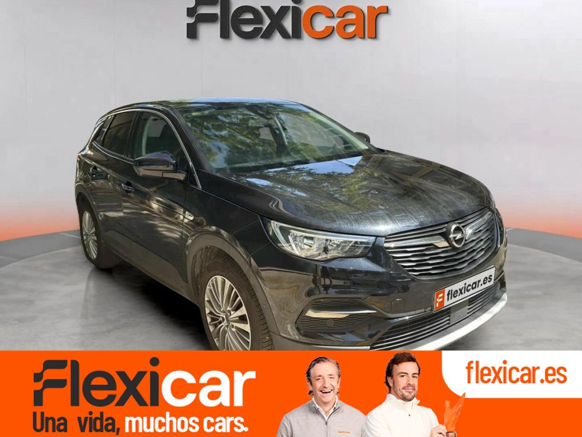 Imagen de OPEL Grandland X