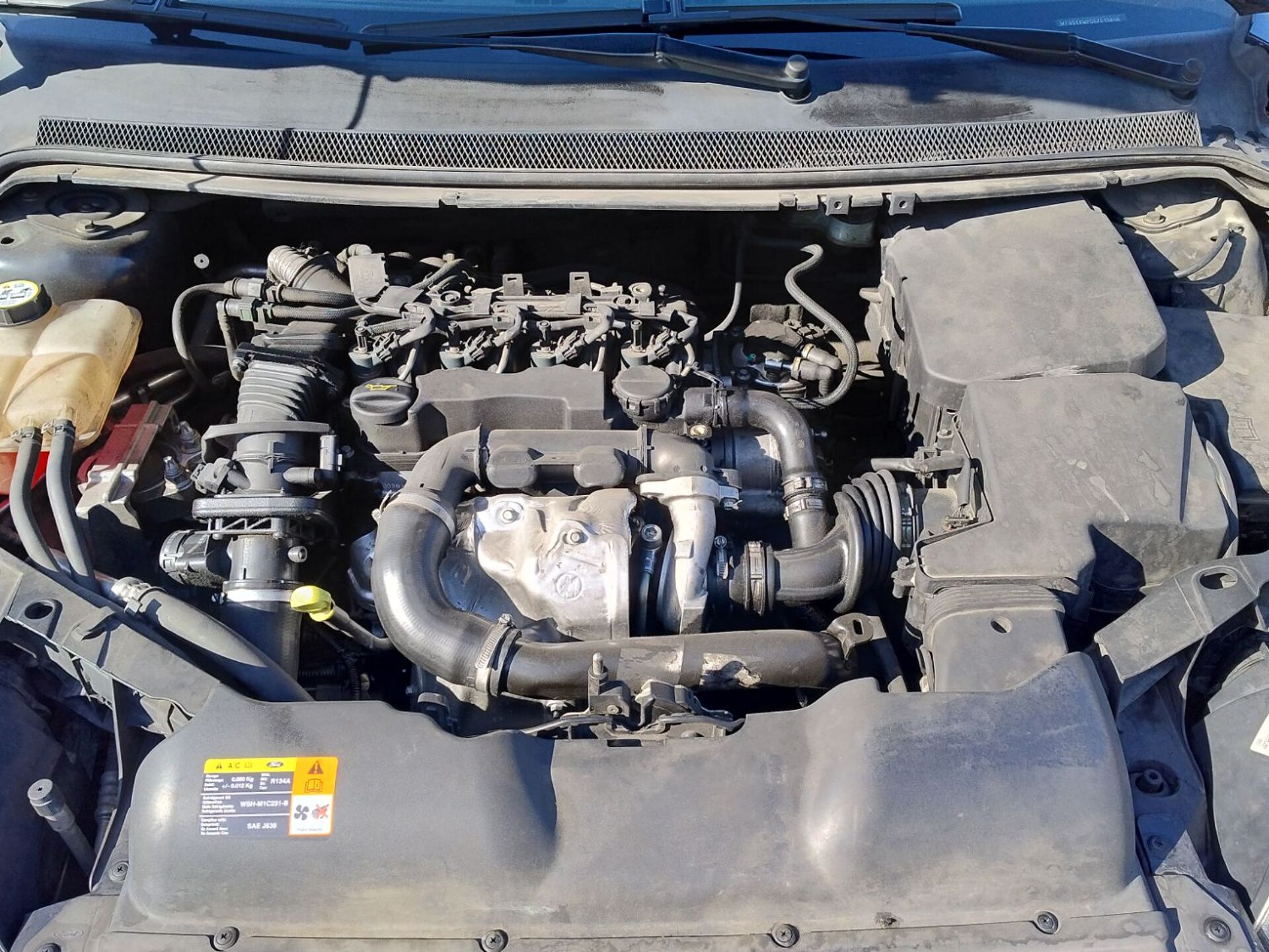 Imagen 3 de FORD Focus