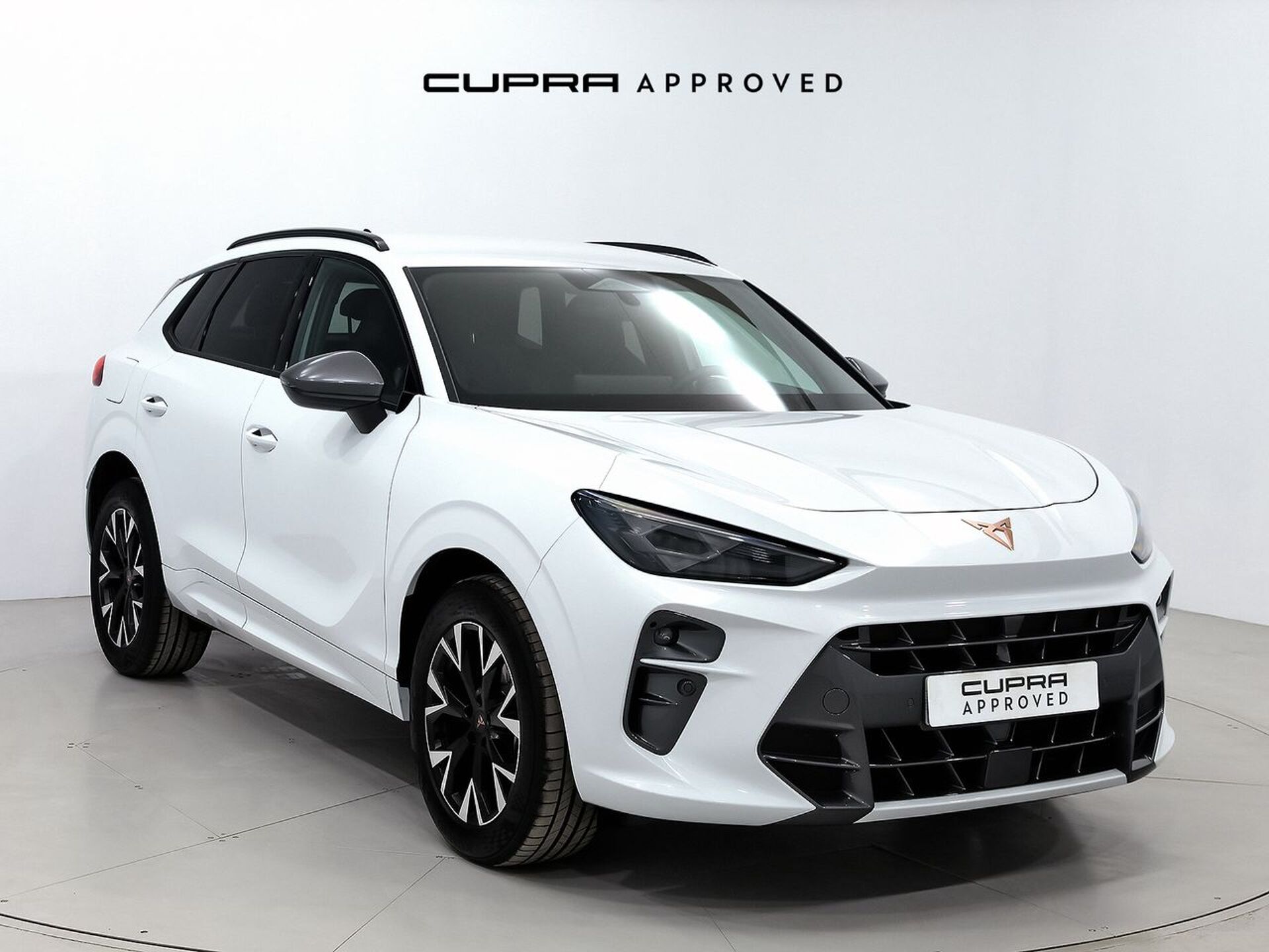 Imagen de CUPRA Terramar
