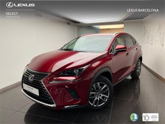 Imagen de LEXUS NX 300h Executive Navigation 4WD