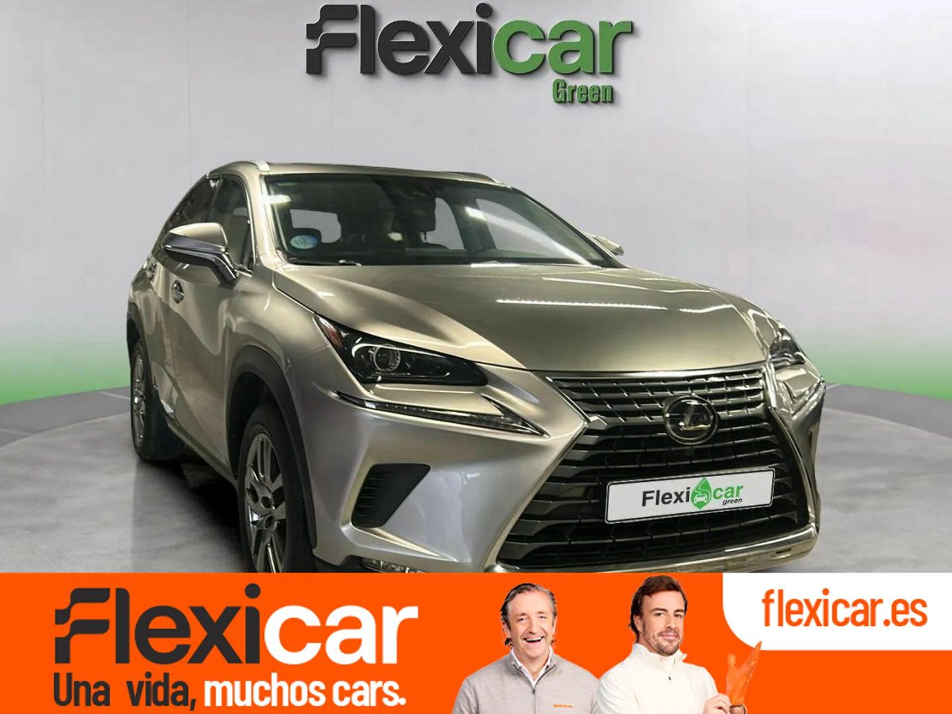 Imagen de LEXUS NX