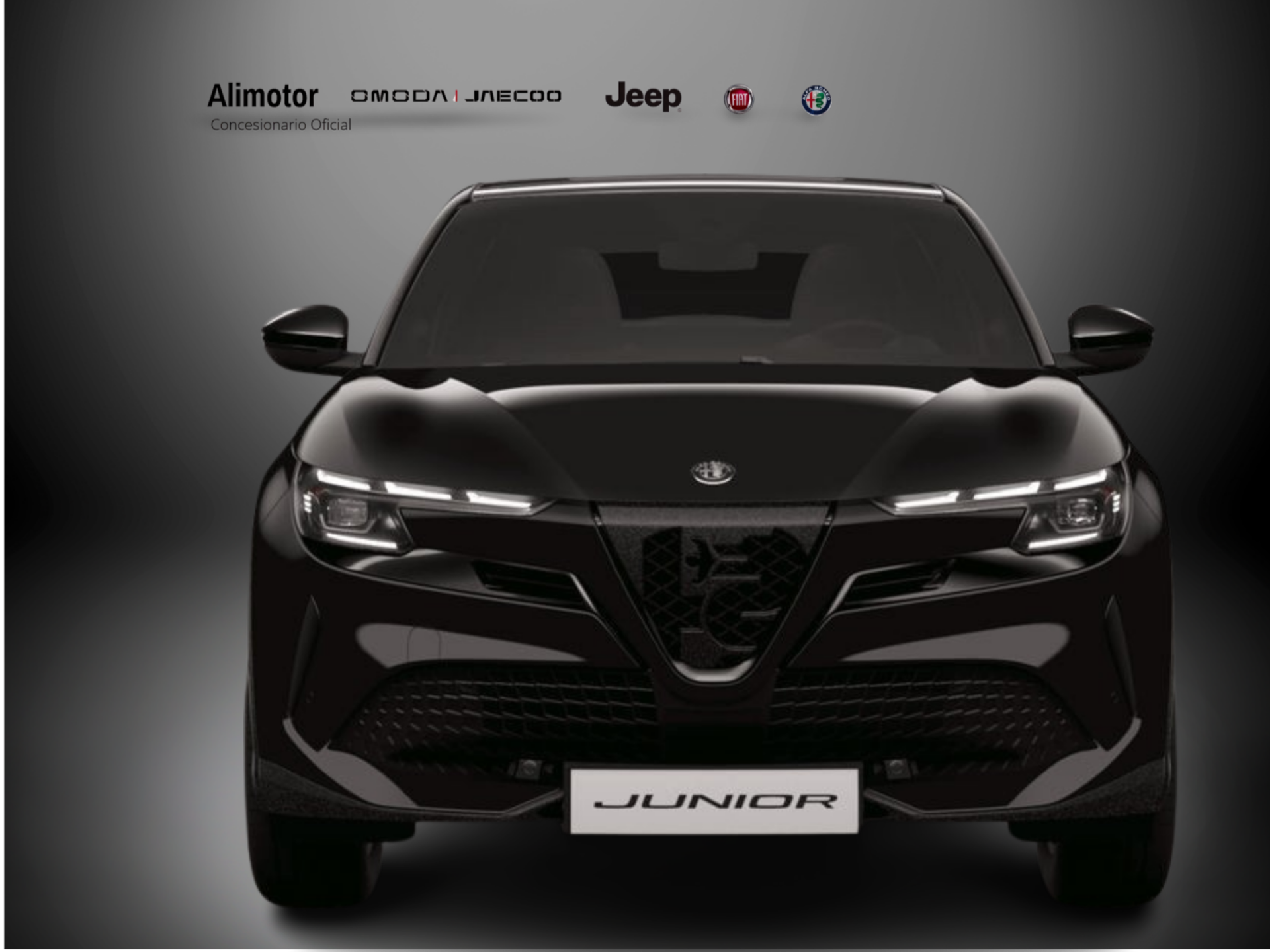 Imagen 1 de ALFA ROMEO Junior