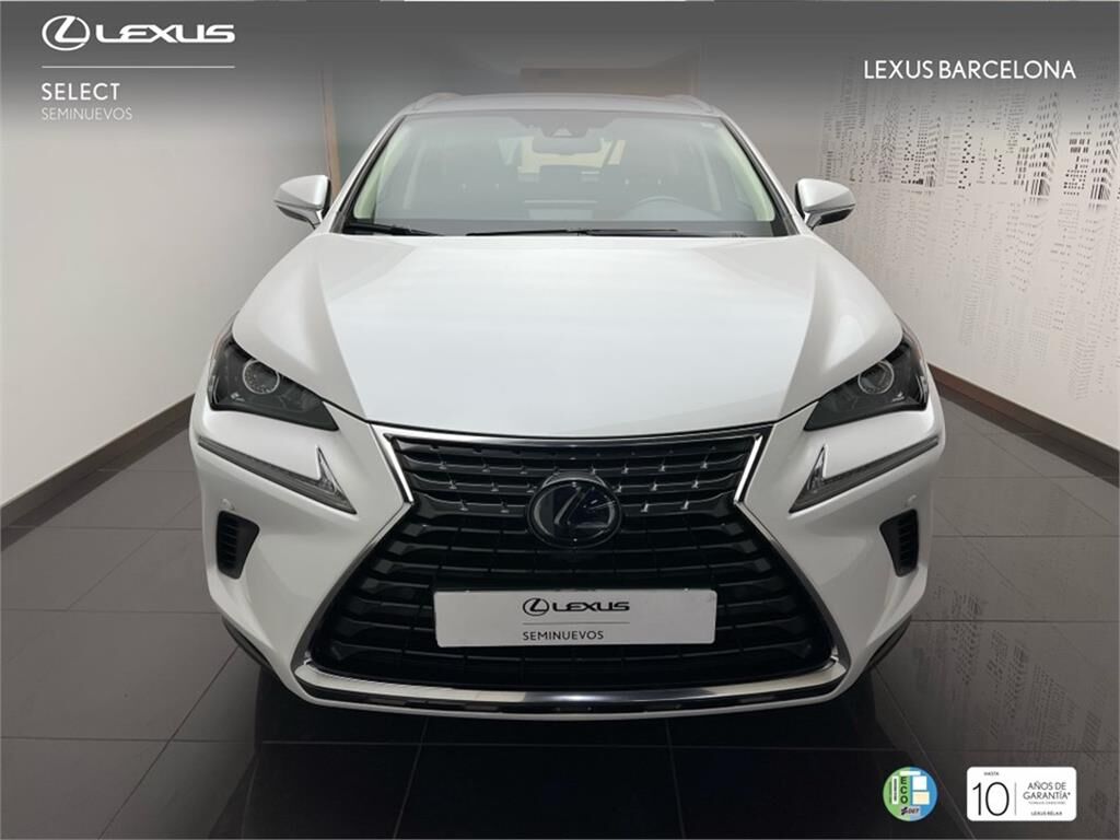 Foto del LEXUS NX 300h Business 2WD
