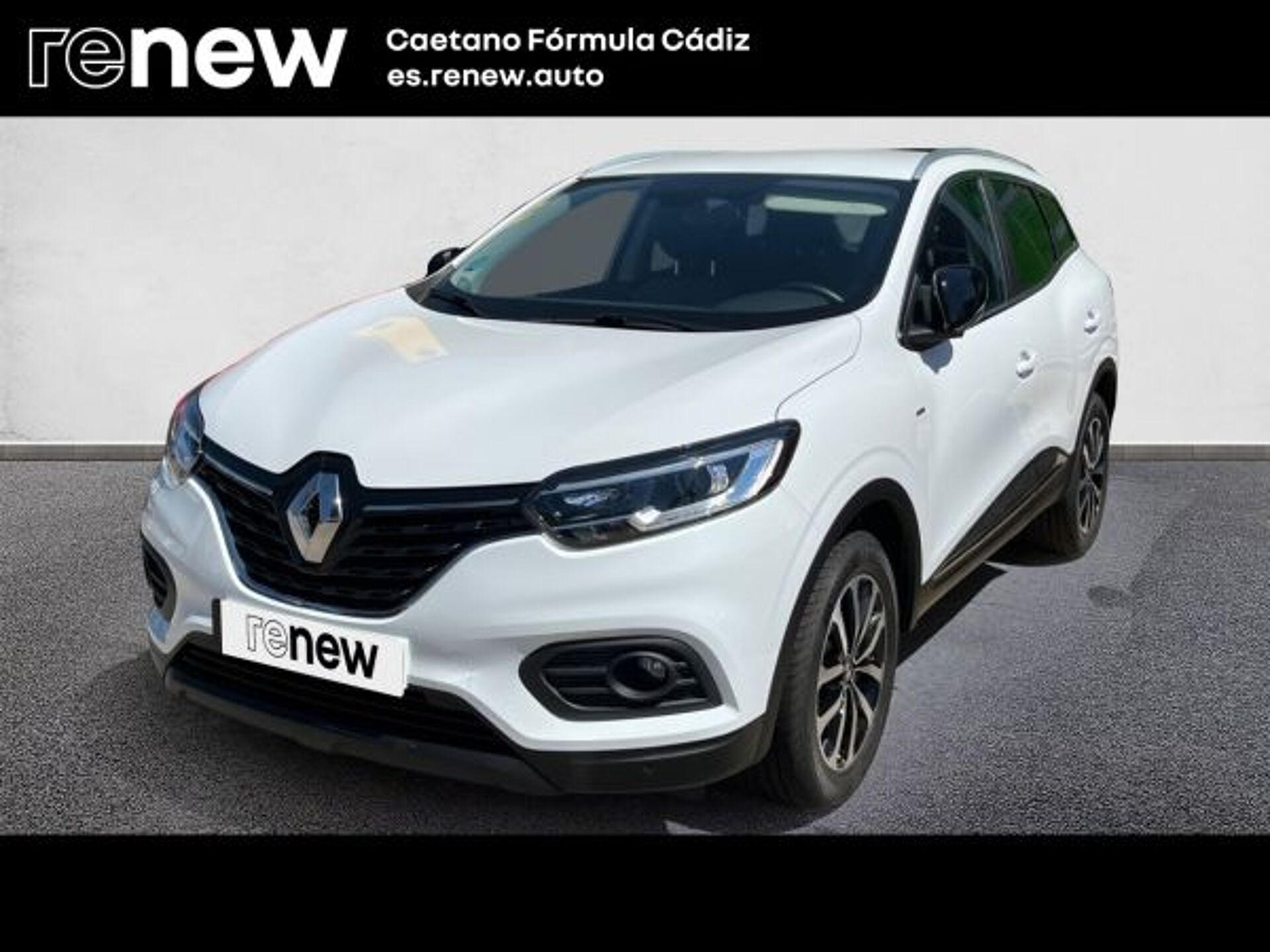 Imagen de RENAULT Kadjar