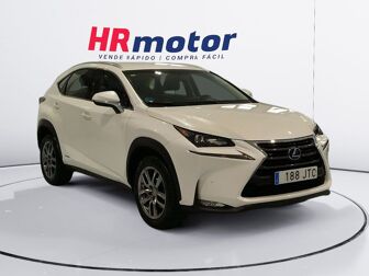 Imagen de LEXUS NX 300h Eco 2WD