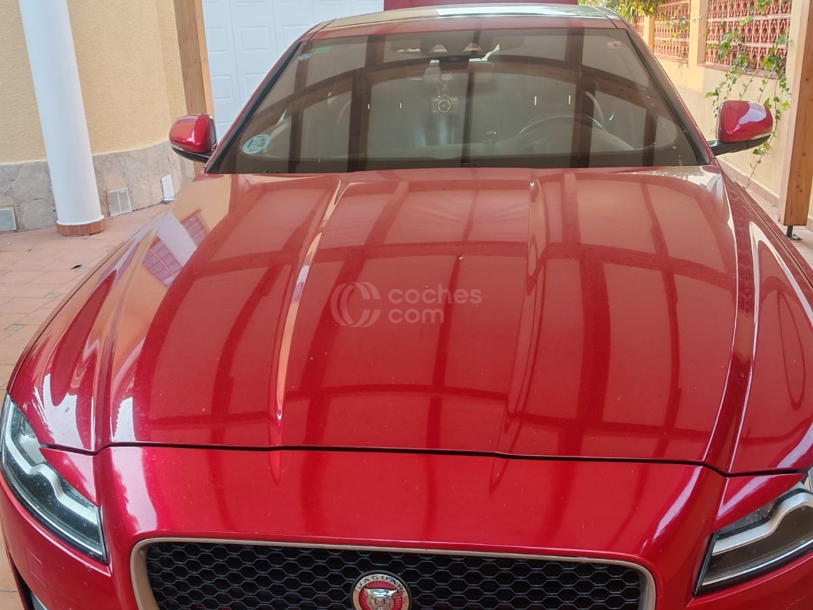 Foto del JAGUAR XF 3.0TDV6 R-Sport Aut.