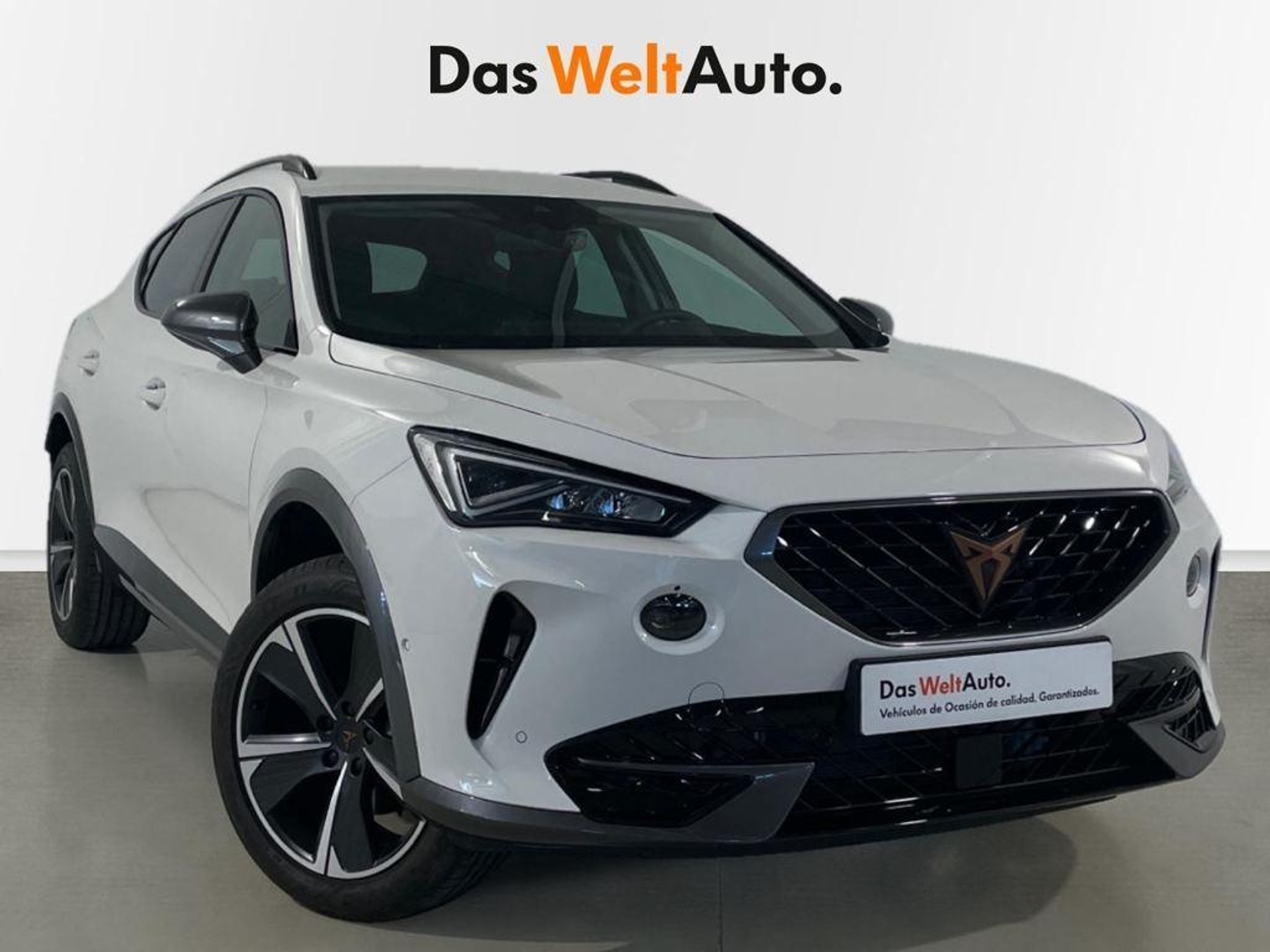 Imagen de CUPRA Formentor