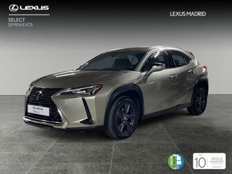 Imagen de LEXUS UX 250h Business 4WD