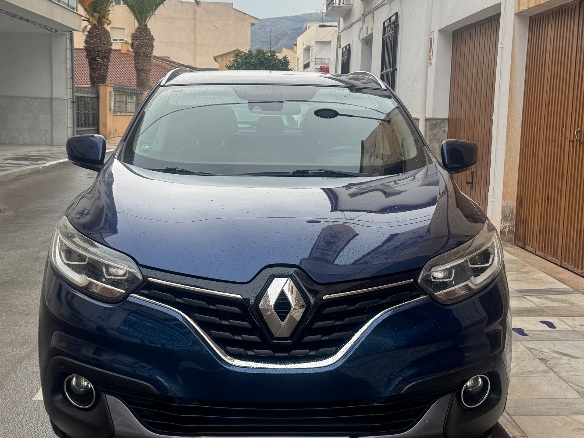 Imagen de RENAULT Kadjar