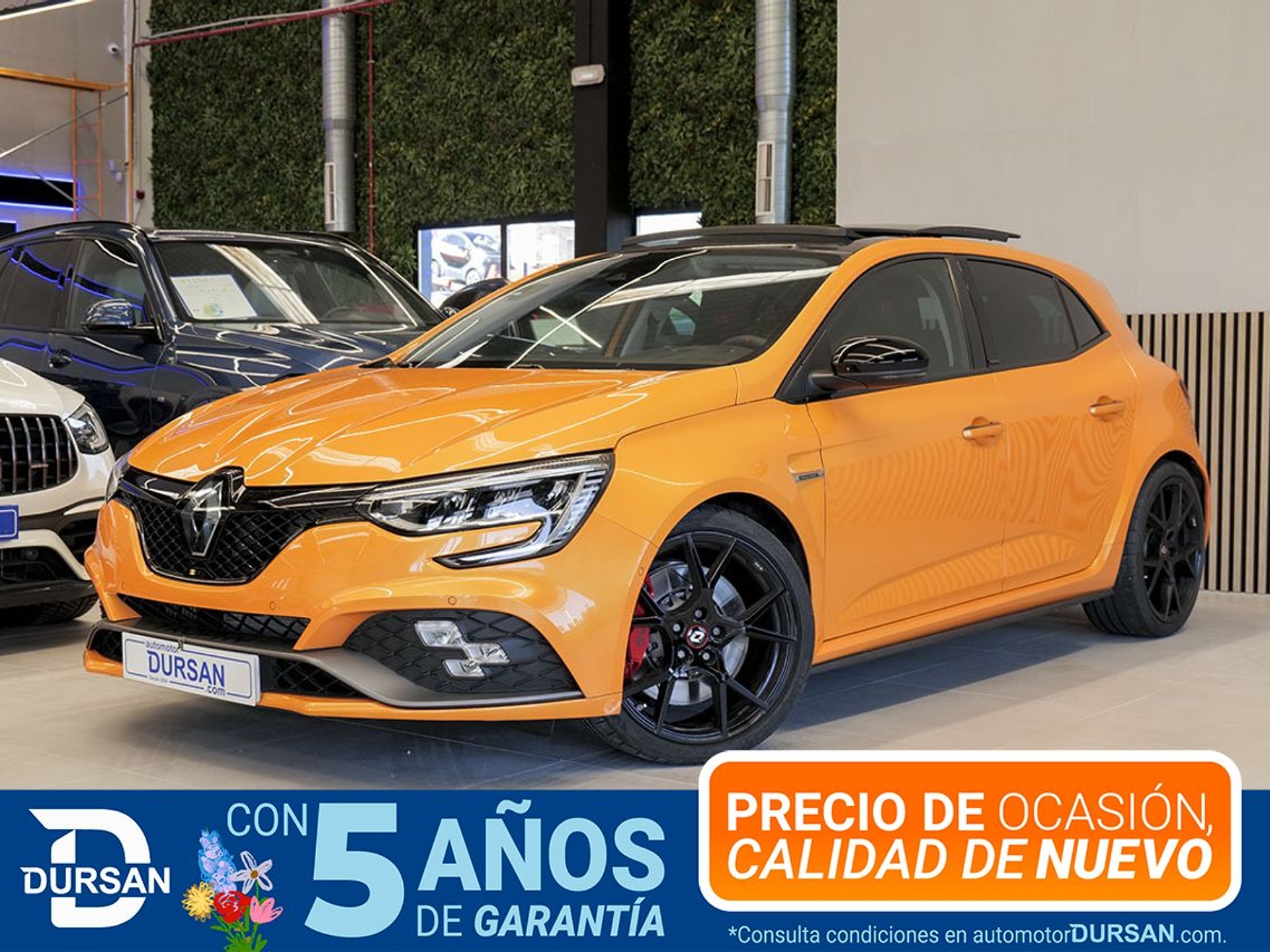 Imagen de RENAULT Mégane
