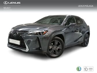 Imagen de LEXUS UX 250h Business 2WD